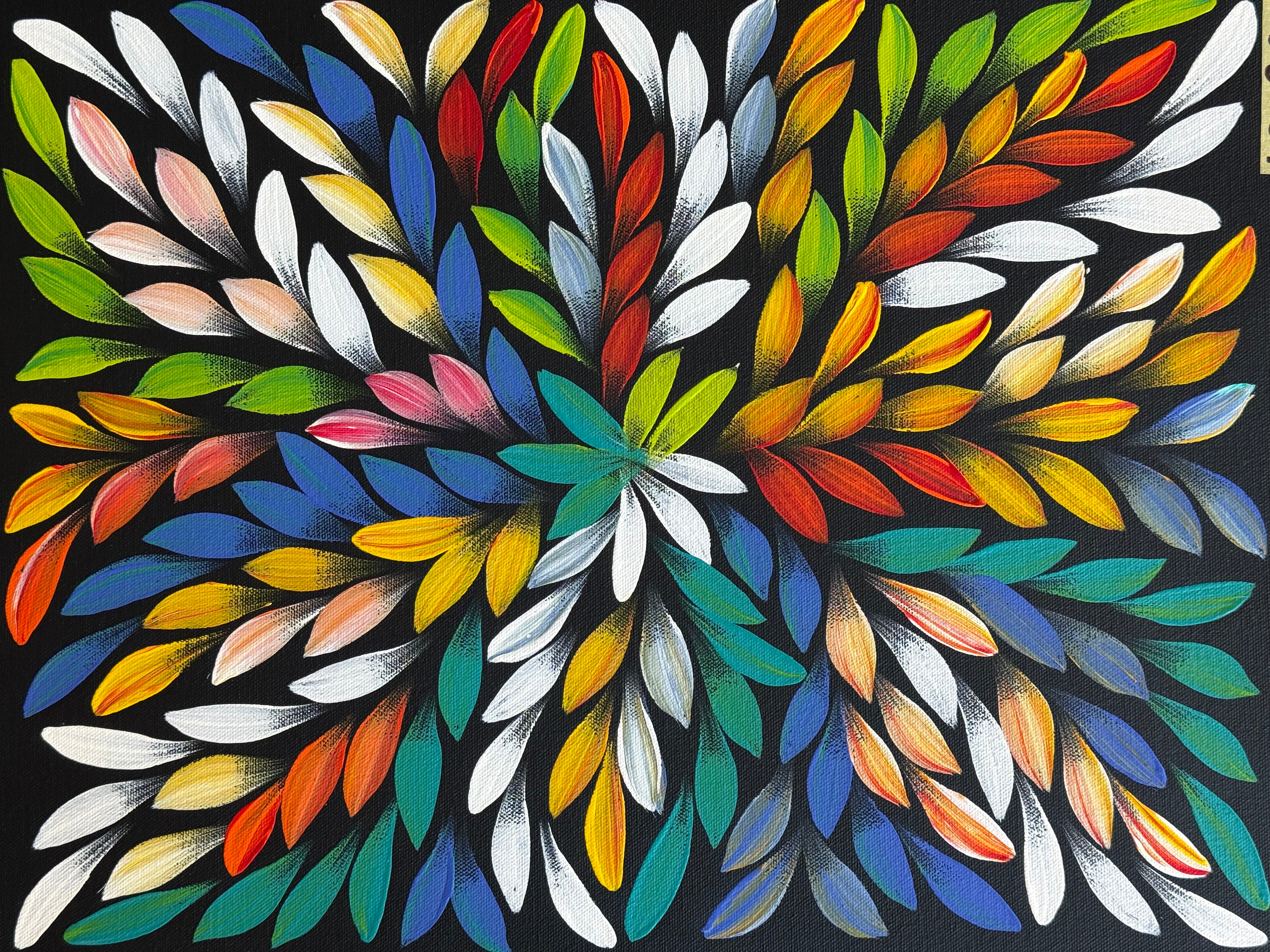 Jacinta Numina Waugh - Bush Medicine Leaves .55-11