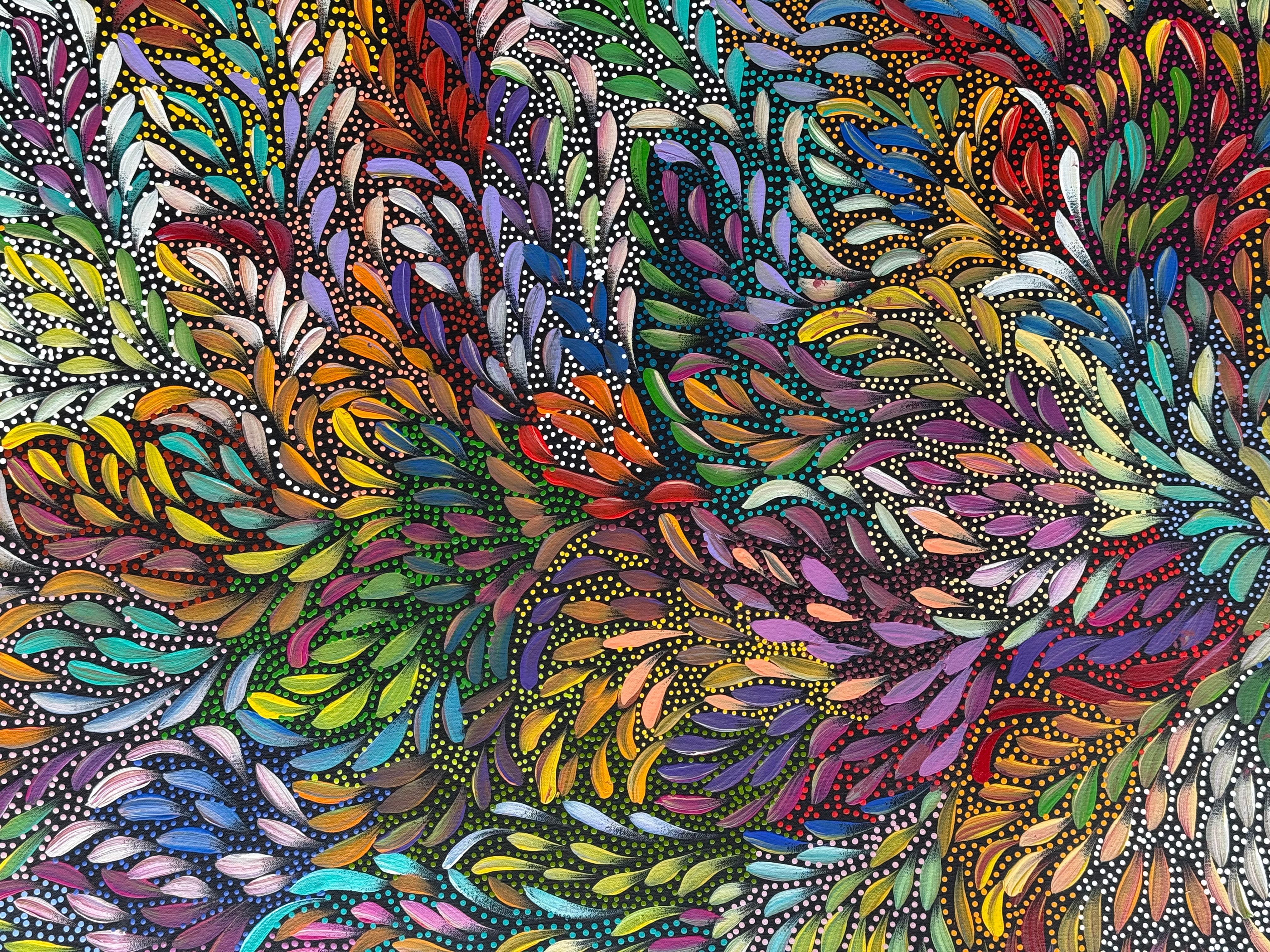Caroline Numina - Bush Medicine Leaves and Seeds .87-4