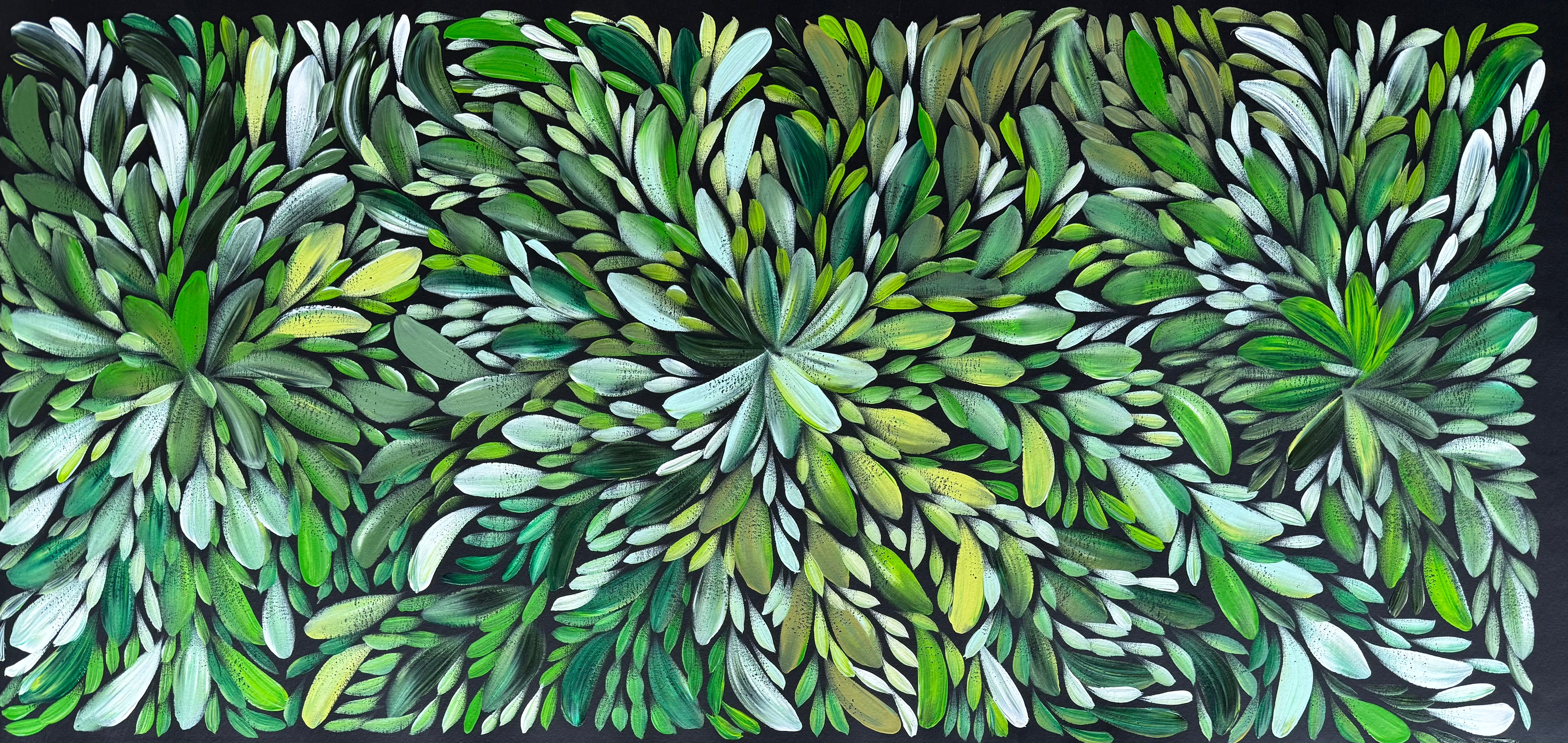 Louise Numina Napananka - Bush Medicine Leaves .22-23
