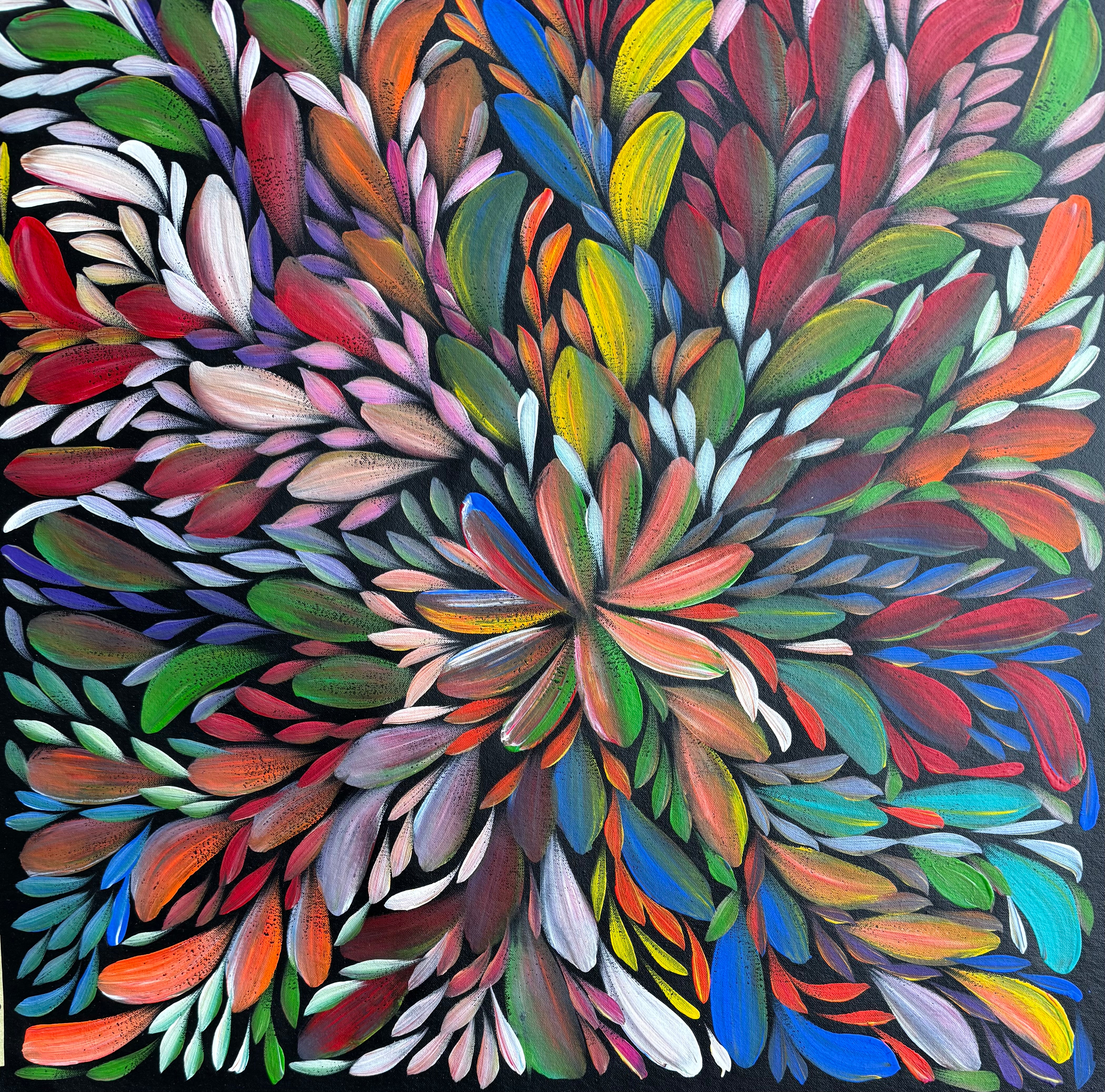 Louise Numina Napananka - Bush Medicine Leaves .16-64