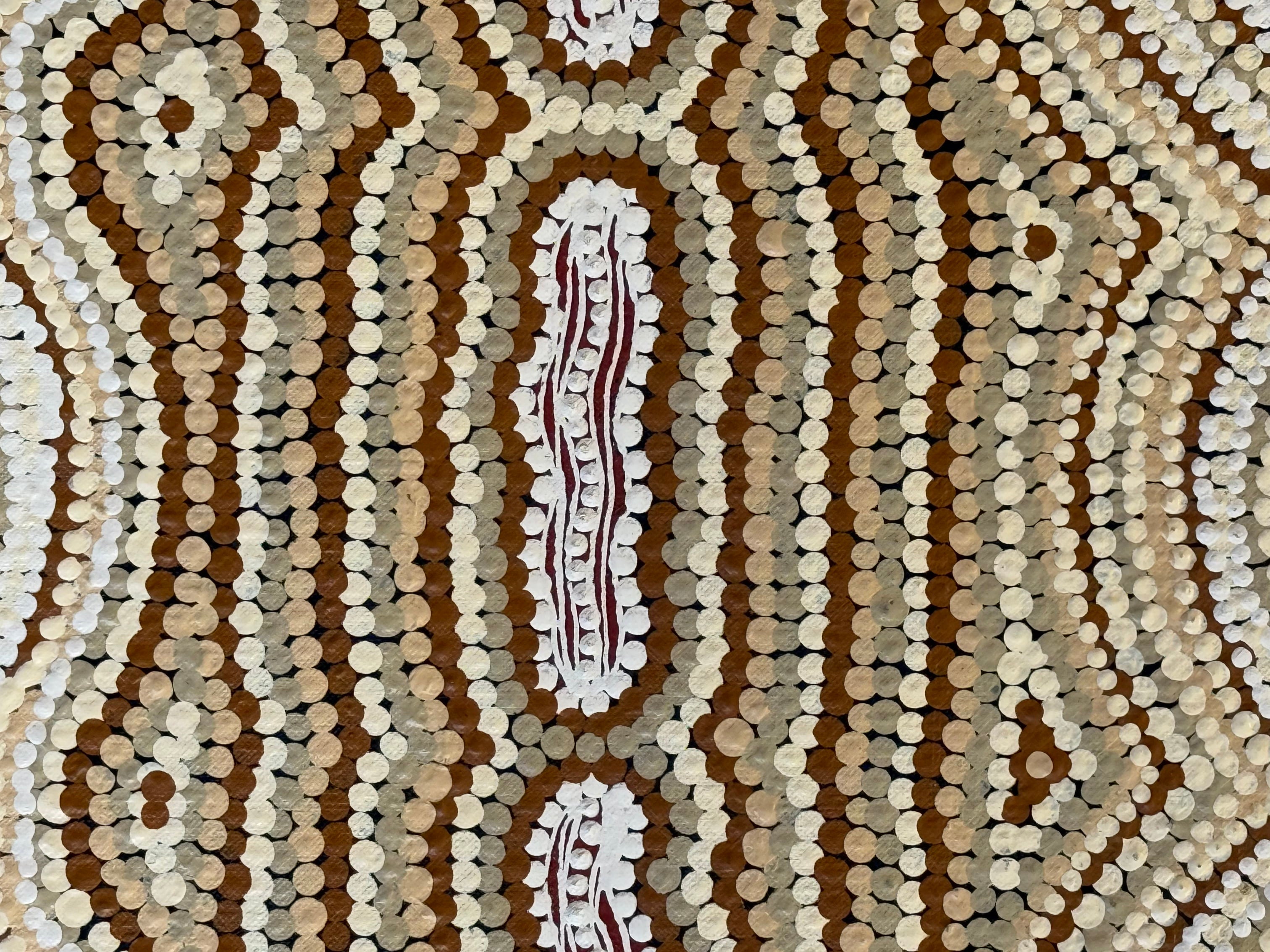 Peter Mbitjana Palmer - North-Eastern Catapillar Dreaming .26-1