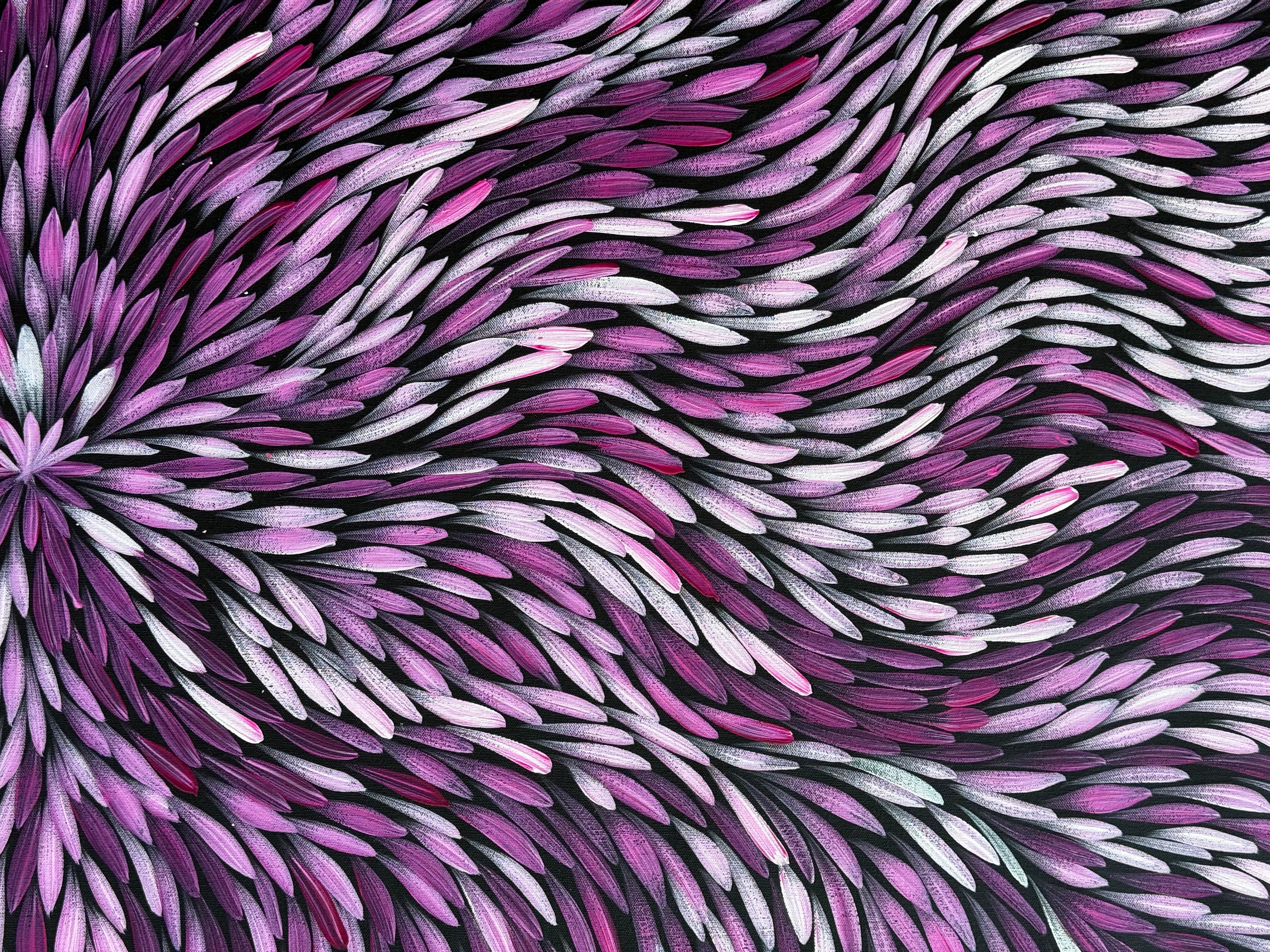 Sharon Numina - Bush Medicine Leaves .95-5