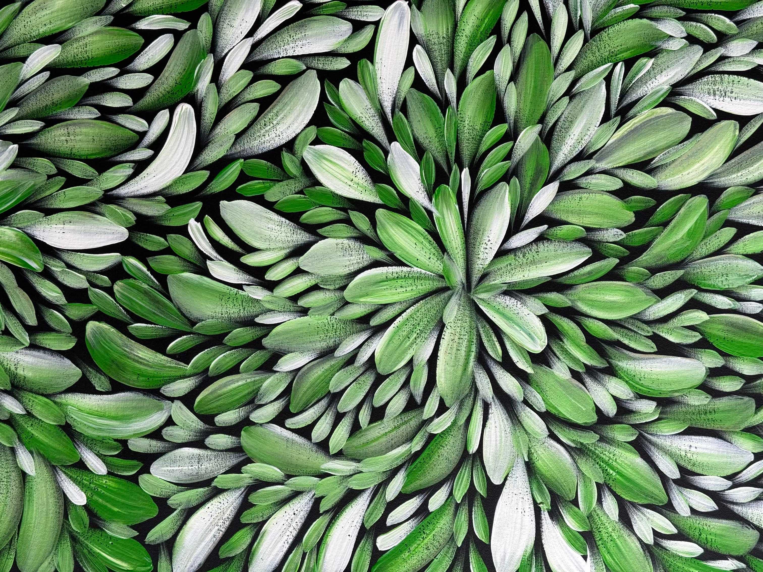 Louise Numina Napananka - Bush Medicine Leaves .57-55