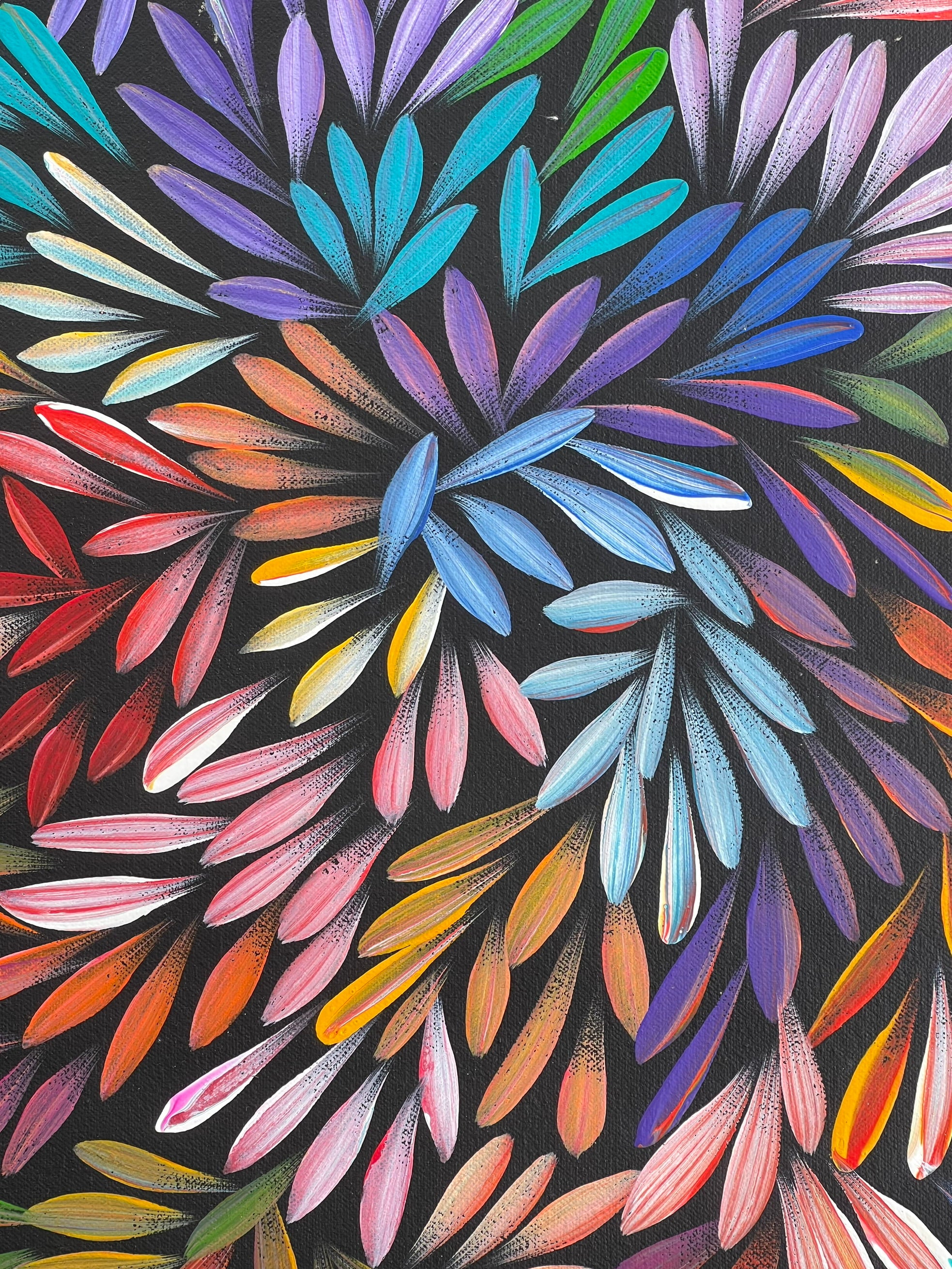 Sharon Numina - Bush Medicine Leaves - 55x61cm .28-12