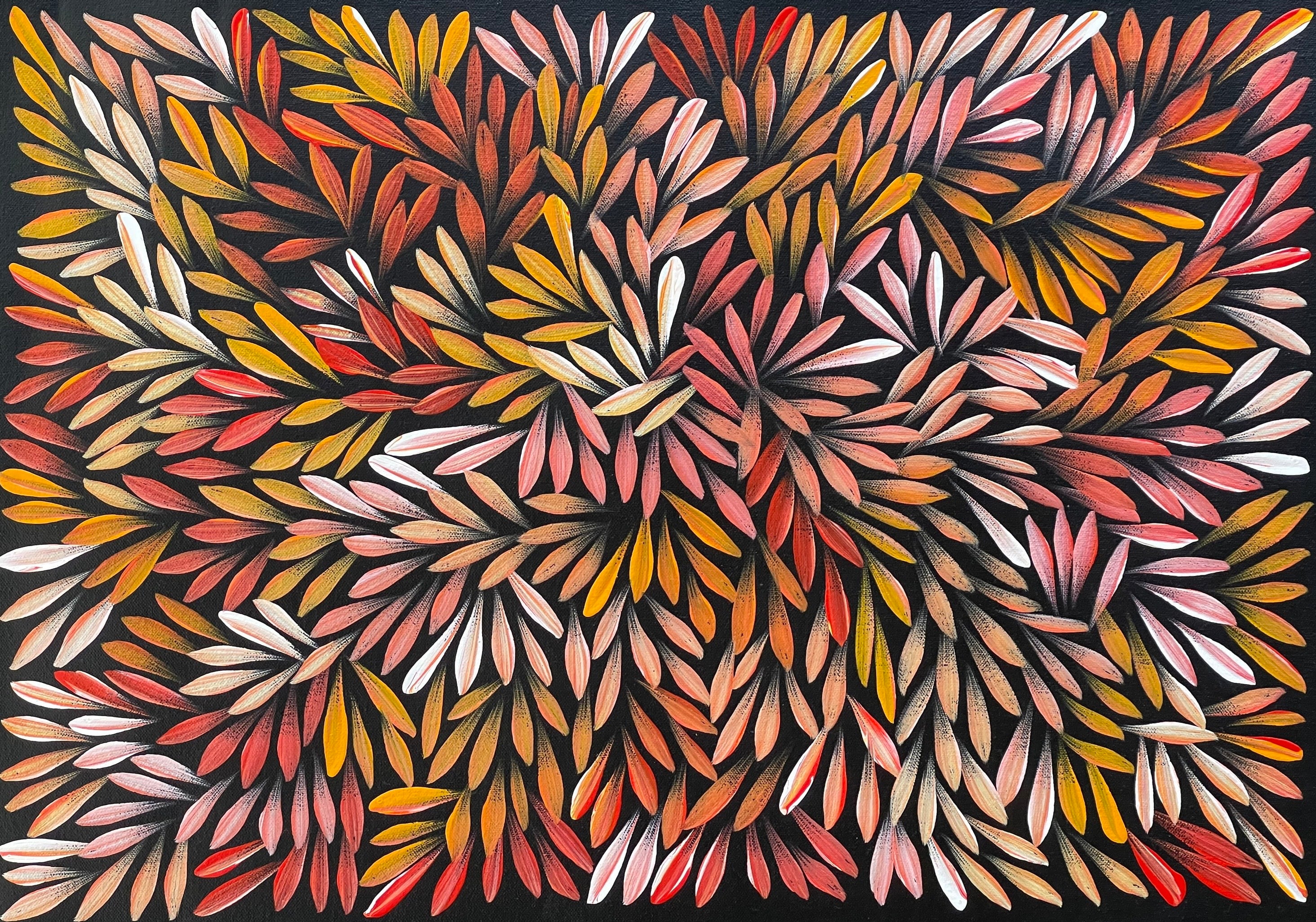 Sharon Numina - Bush Medicine Leaves - 37x54cm .80-28