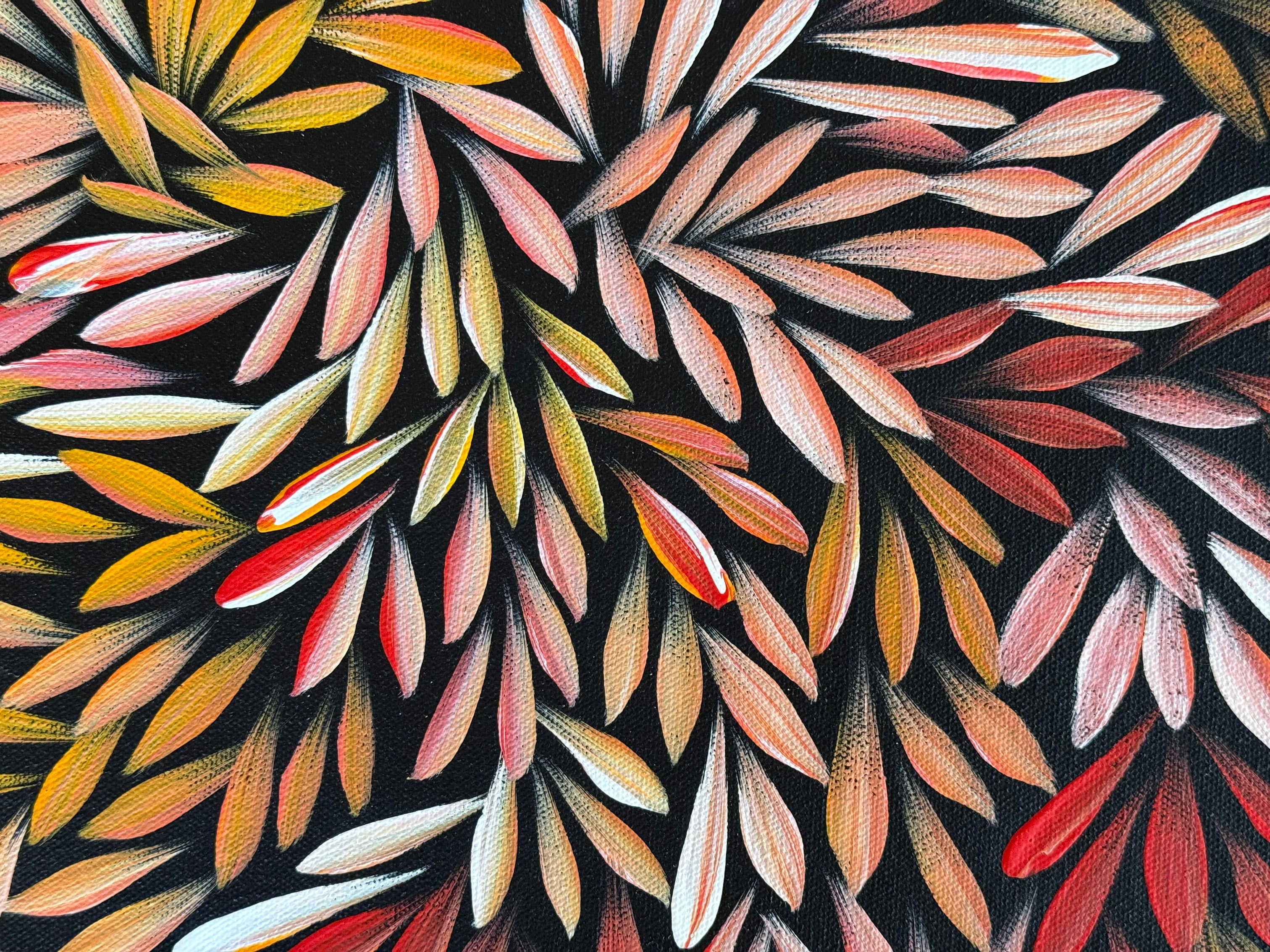 Sharon Numina - Bush Medicine Leaves - 55x40cm .14-6