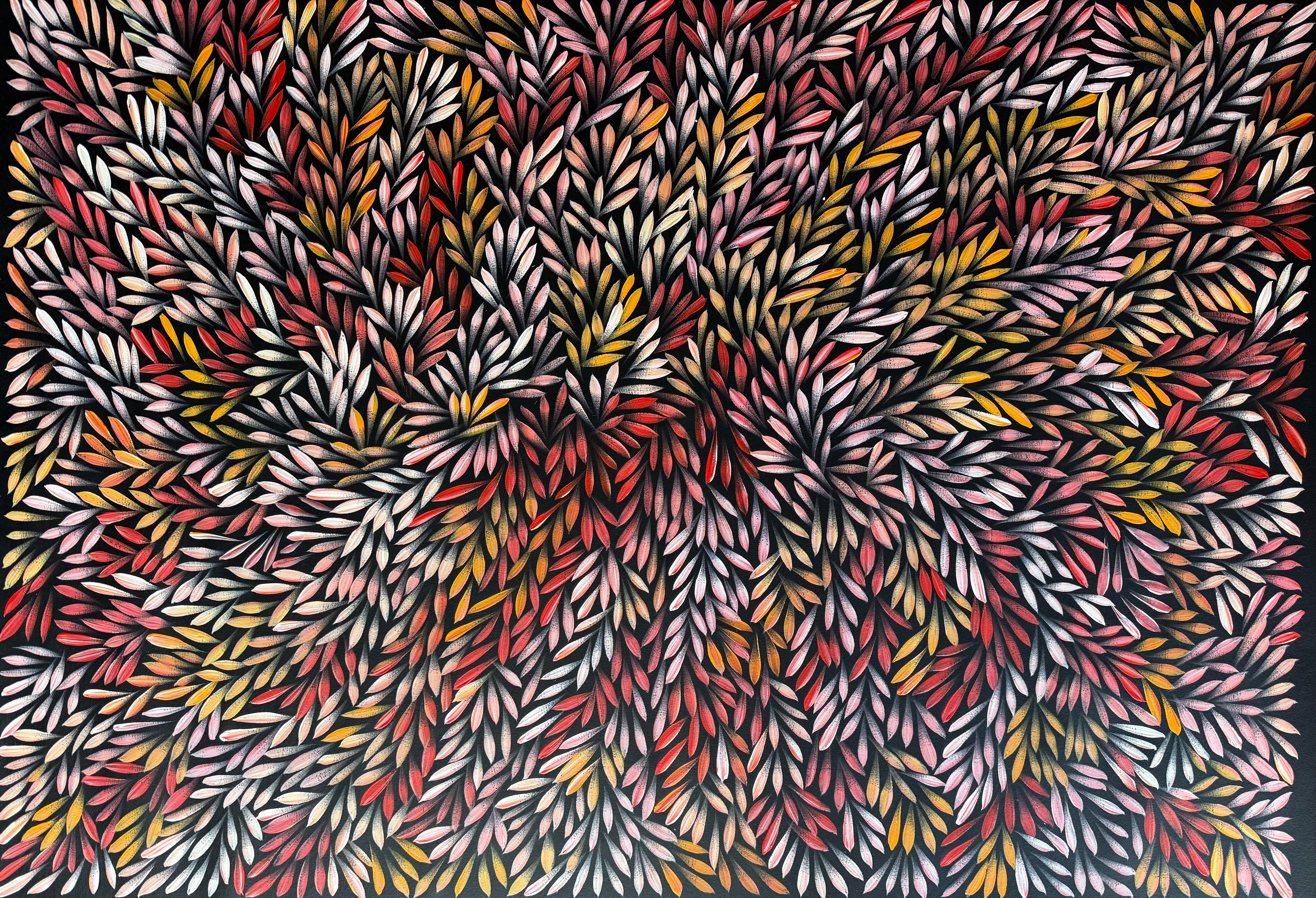 Sharon Numina - Bush Medicine Leaves .14-3