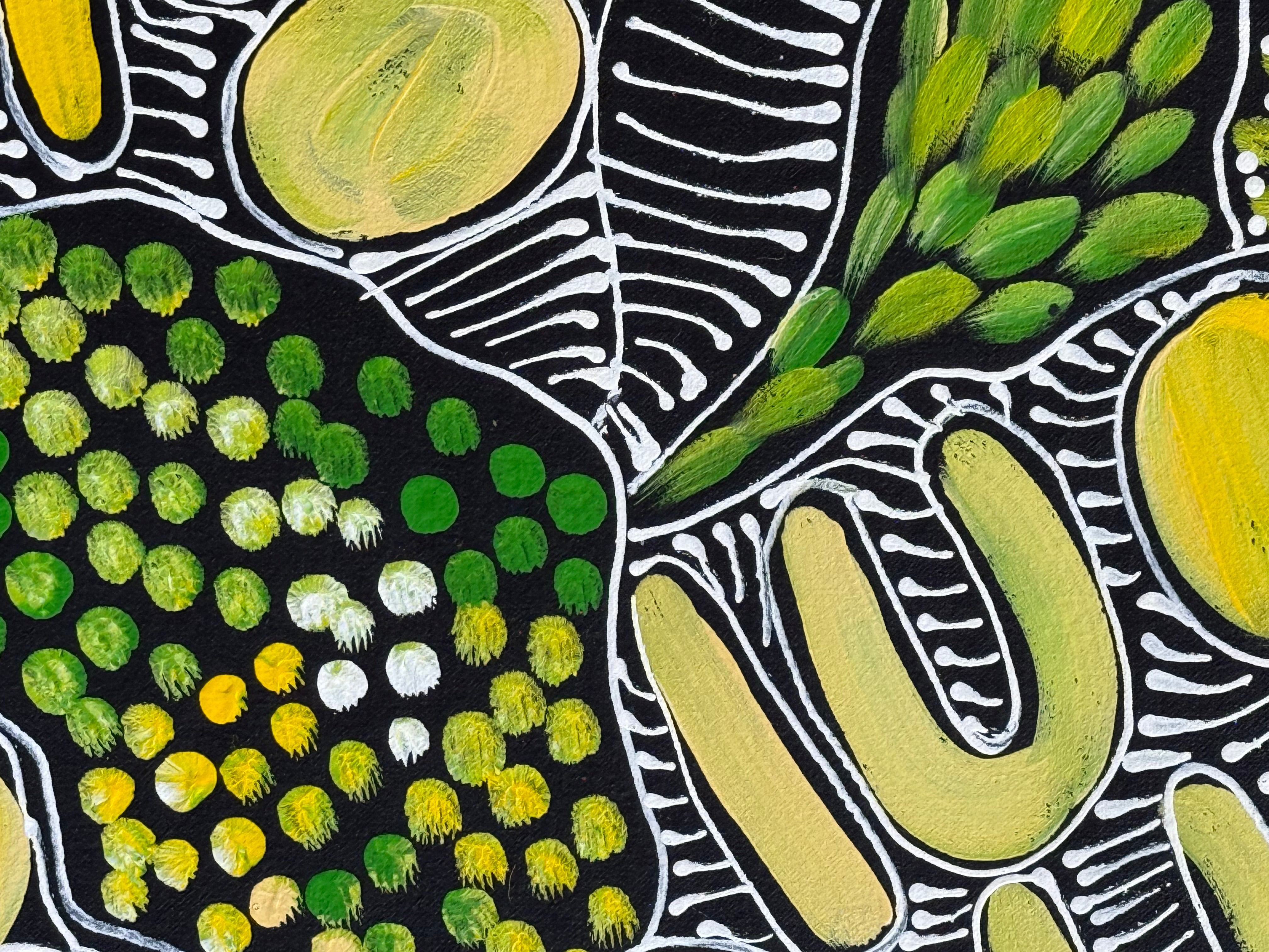 Louise Numina Napananka - Dreamtime .86-17