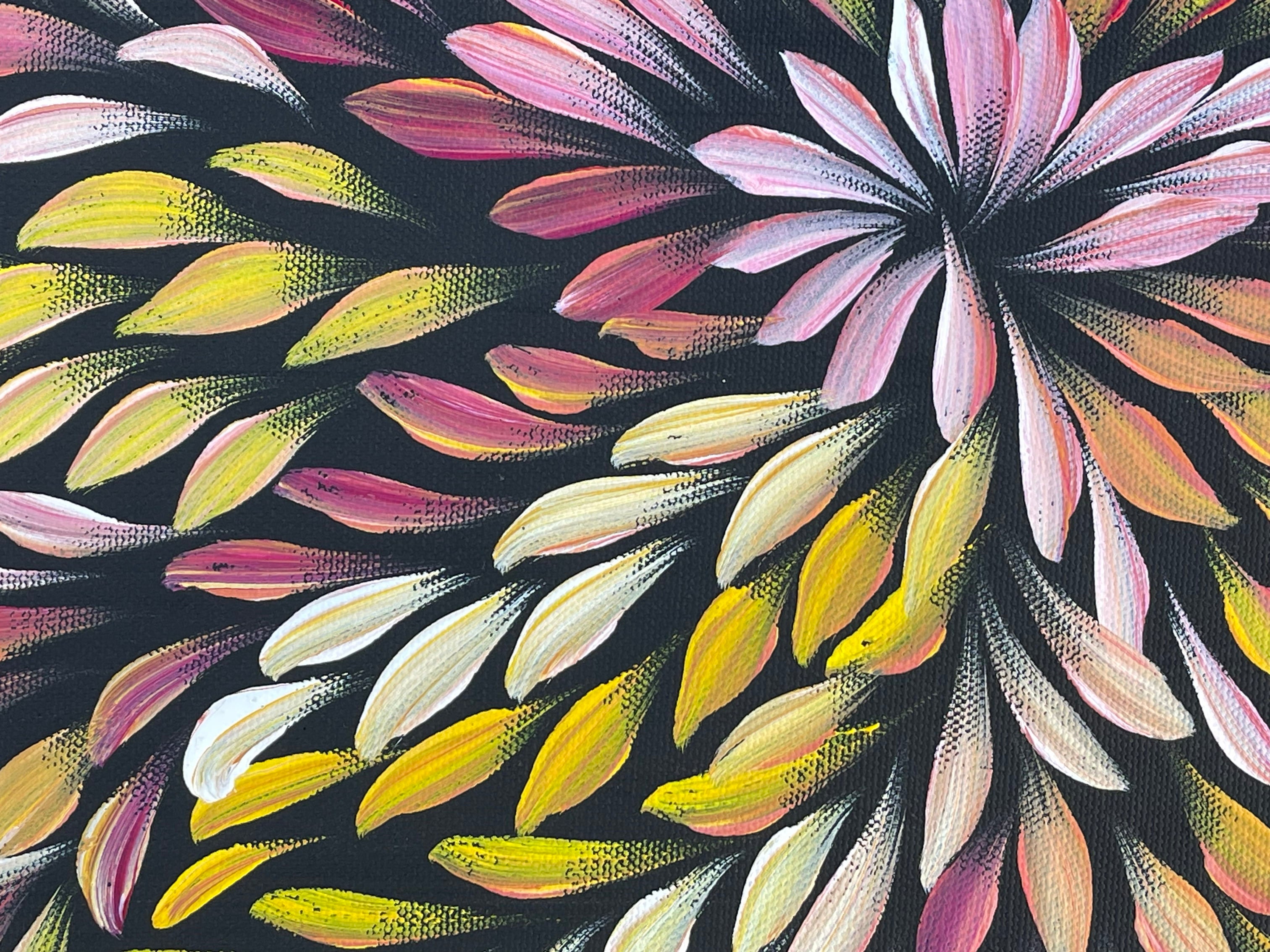 Caroline Numina - Bush Medicine Leaves - 43x33cm .31-10