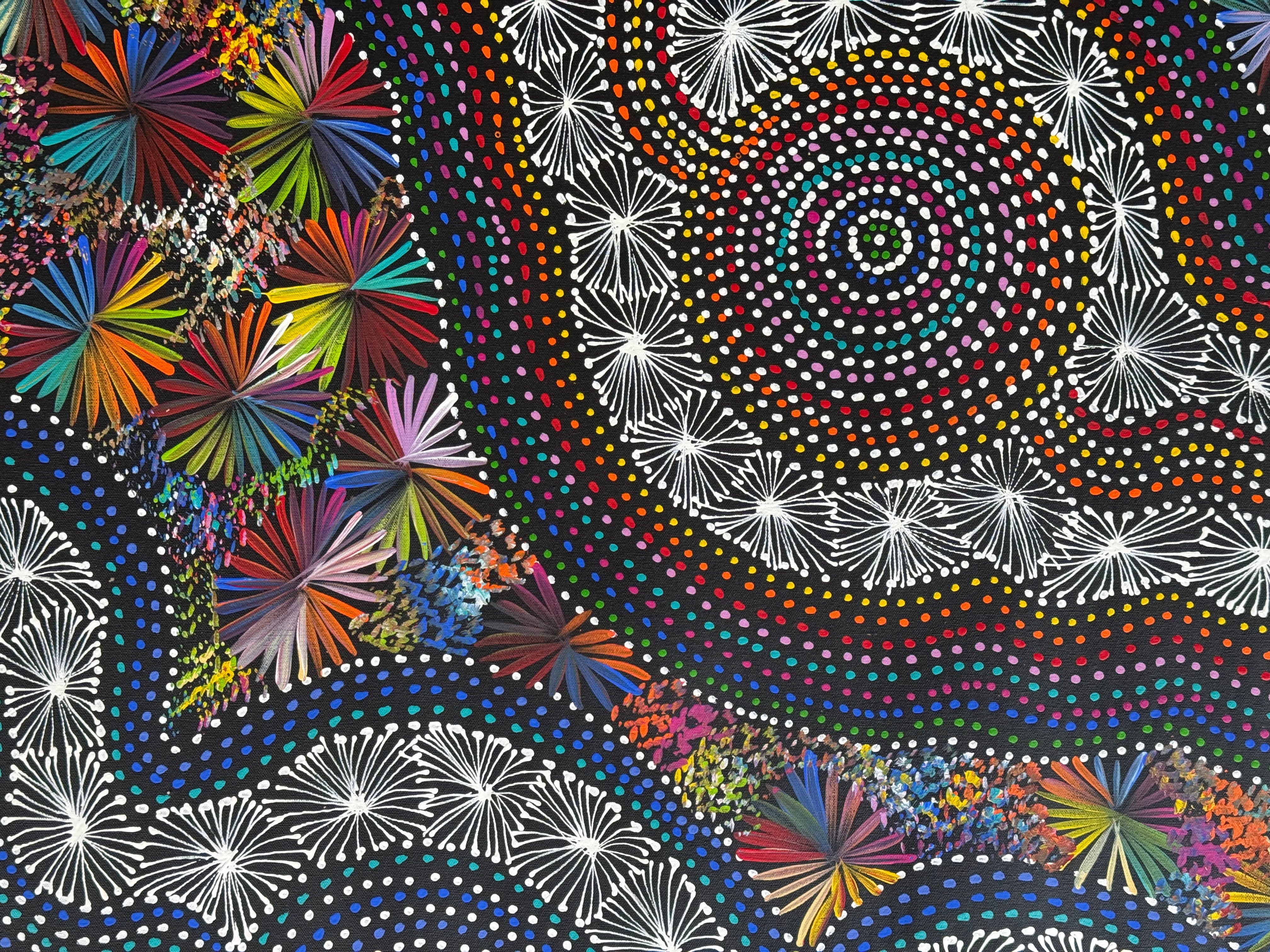 Selina Numina Kamprina - Seeds and Waterholes .92-24