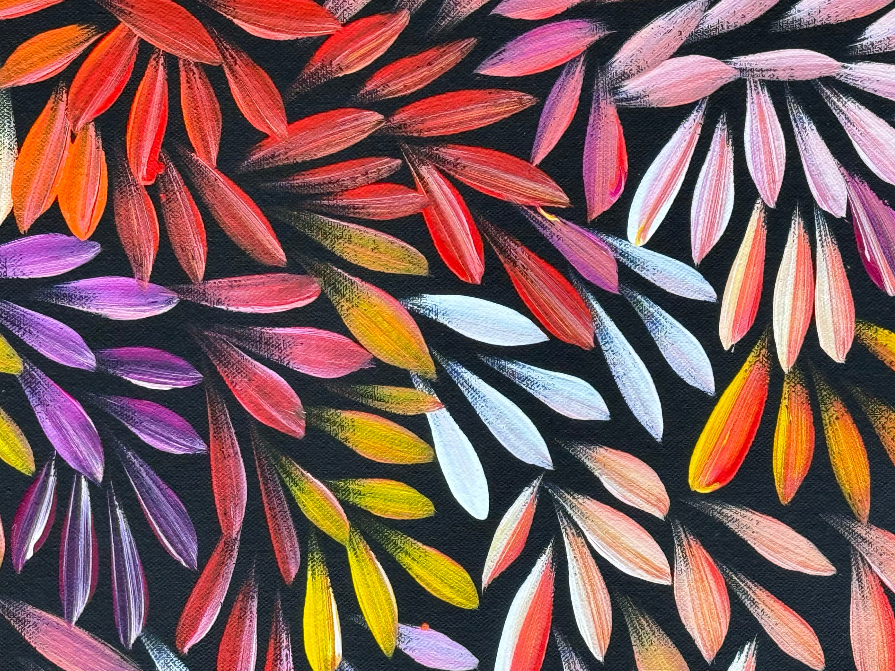 Sharon Numina - Bush Medicine Leaves .50-18