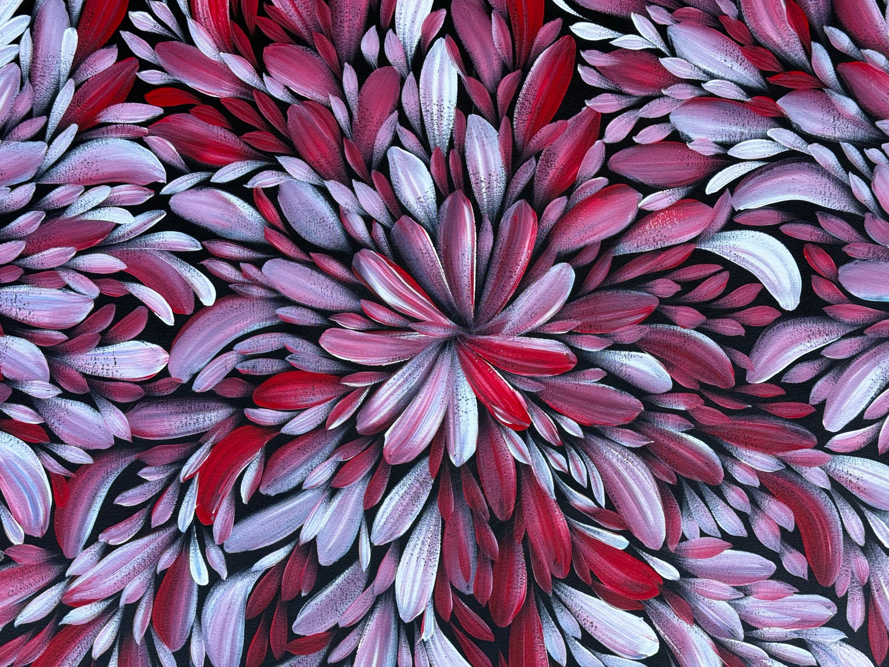 Louise Numina Napananka - Bush Medicine Leaves .49-29