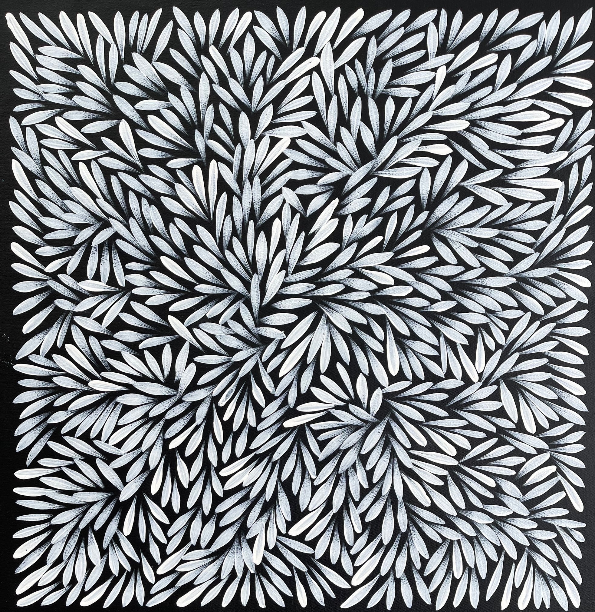 Sharon Numina - Bush Medicine Leaves - 53x55cm .28-18