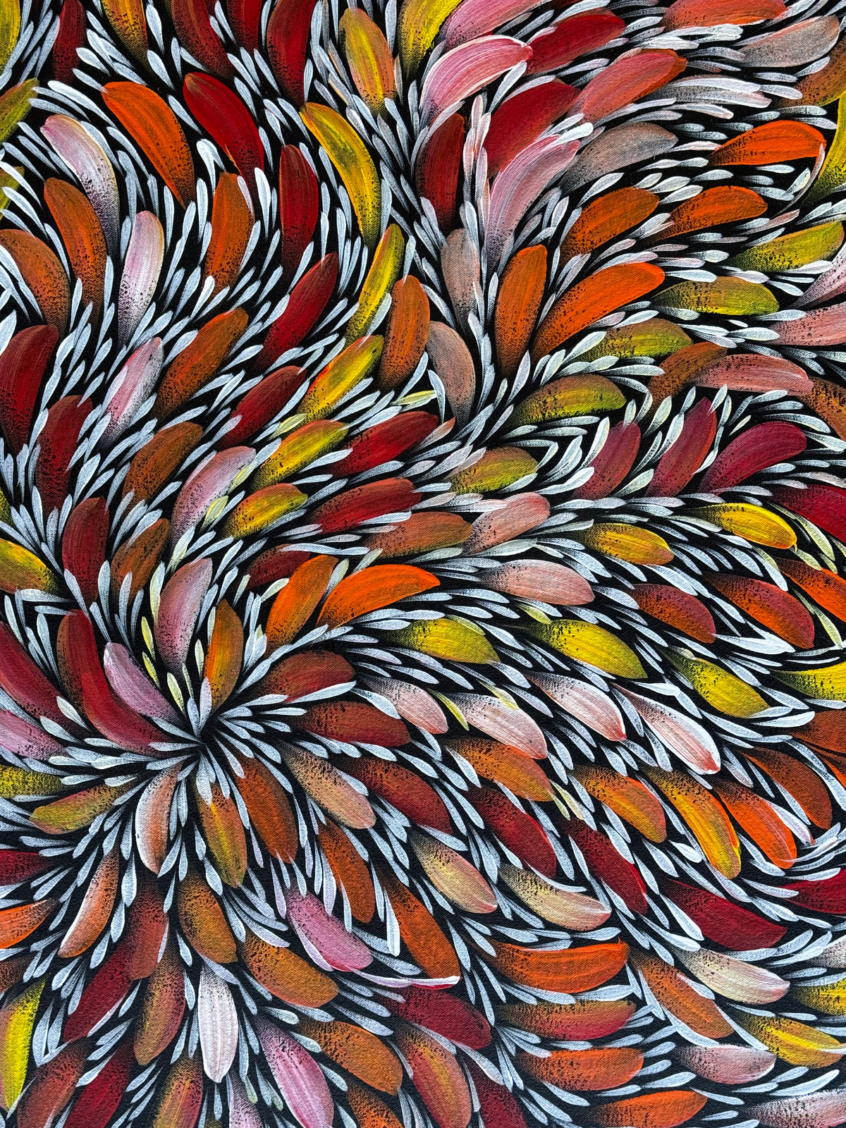 Selina Numina Kamprina - Bush Medicine Leaves .44-6