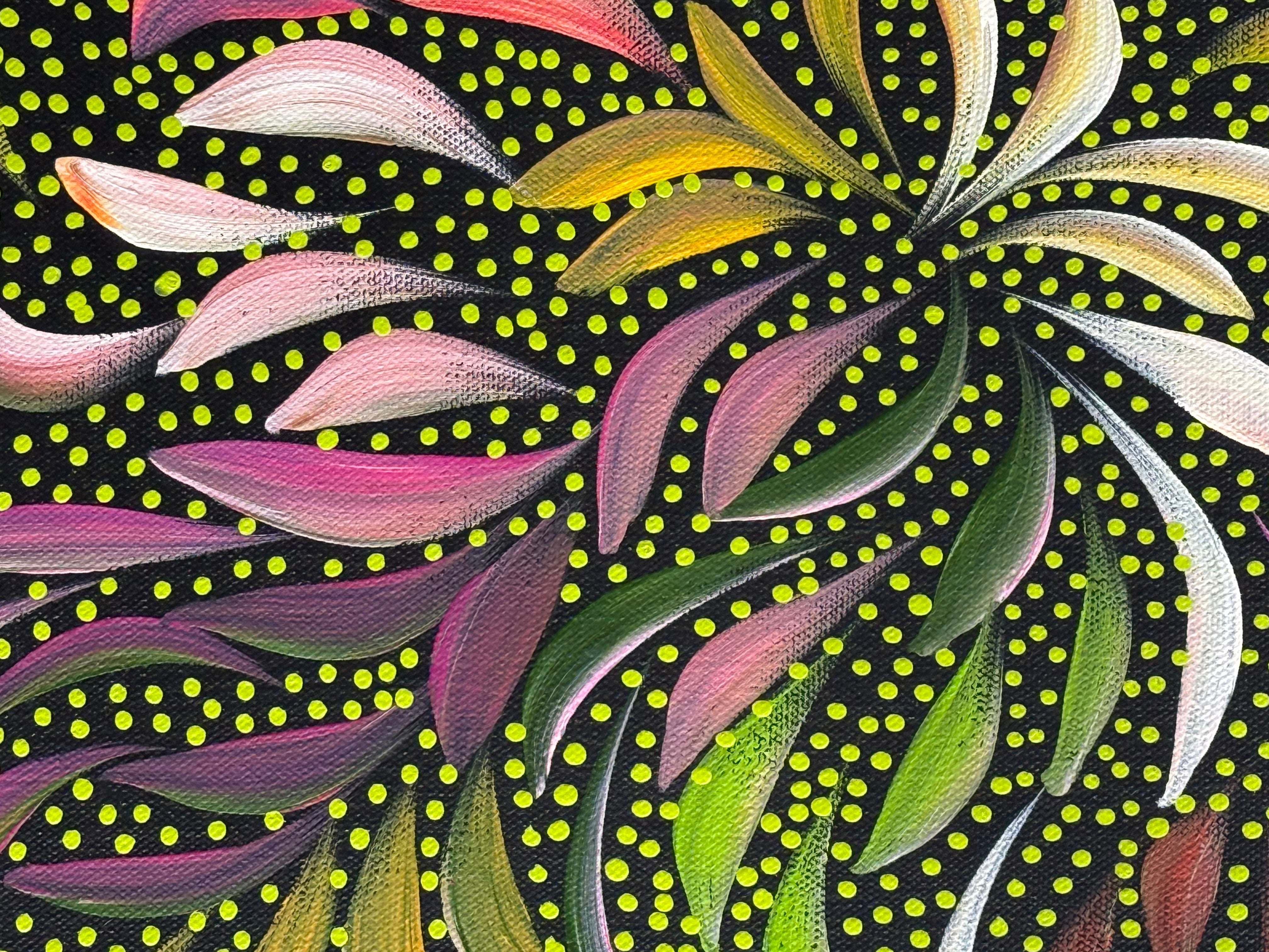 Caroline Numina - Bush Medicine Leaves and Seeds .35-12