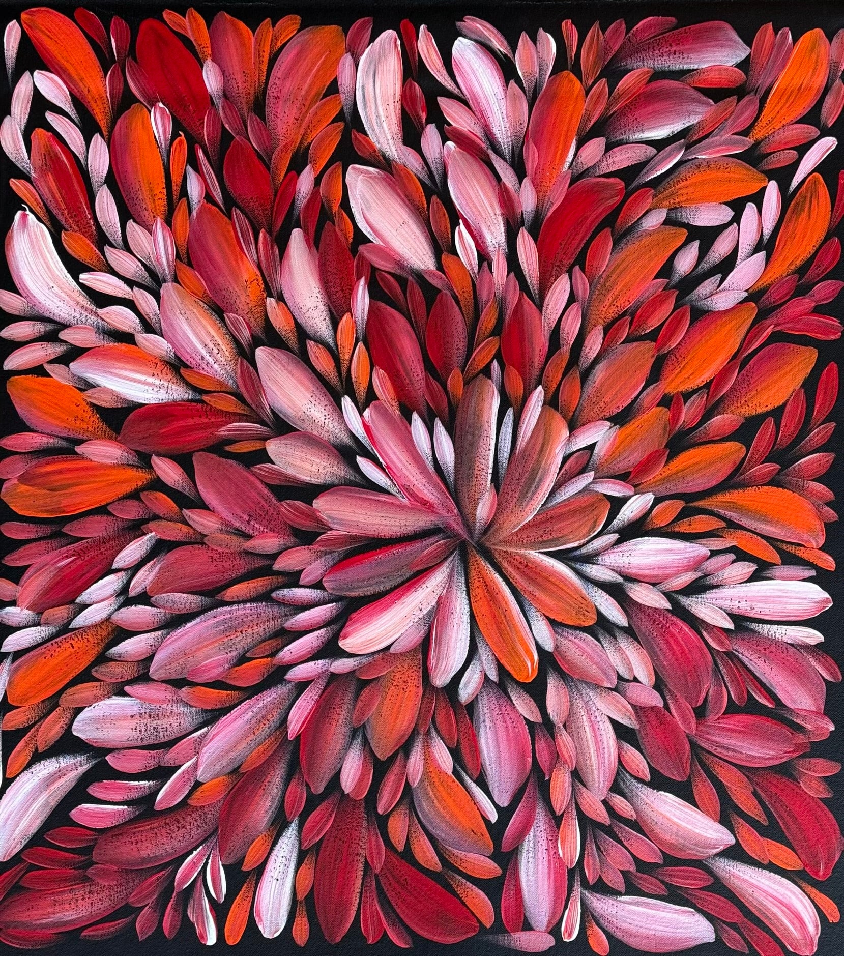 Louise Numina Napananka - Bush Medicine Leaves .49-18