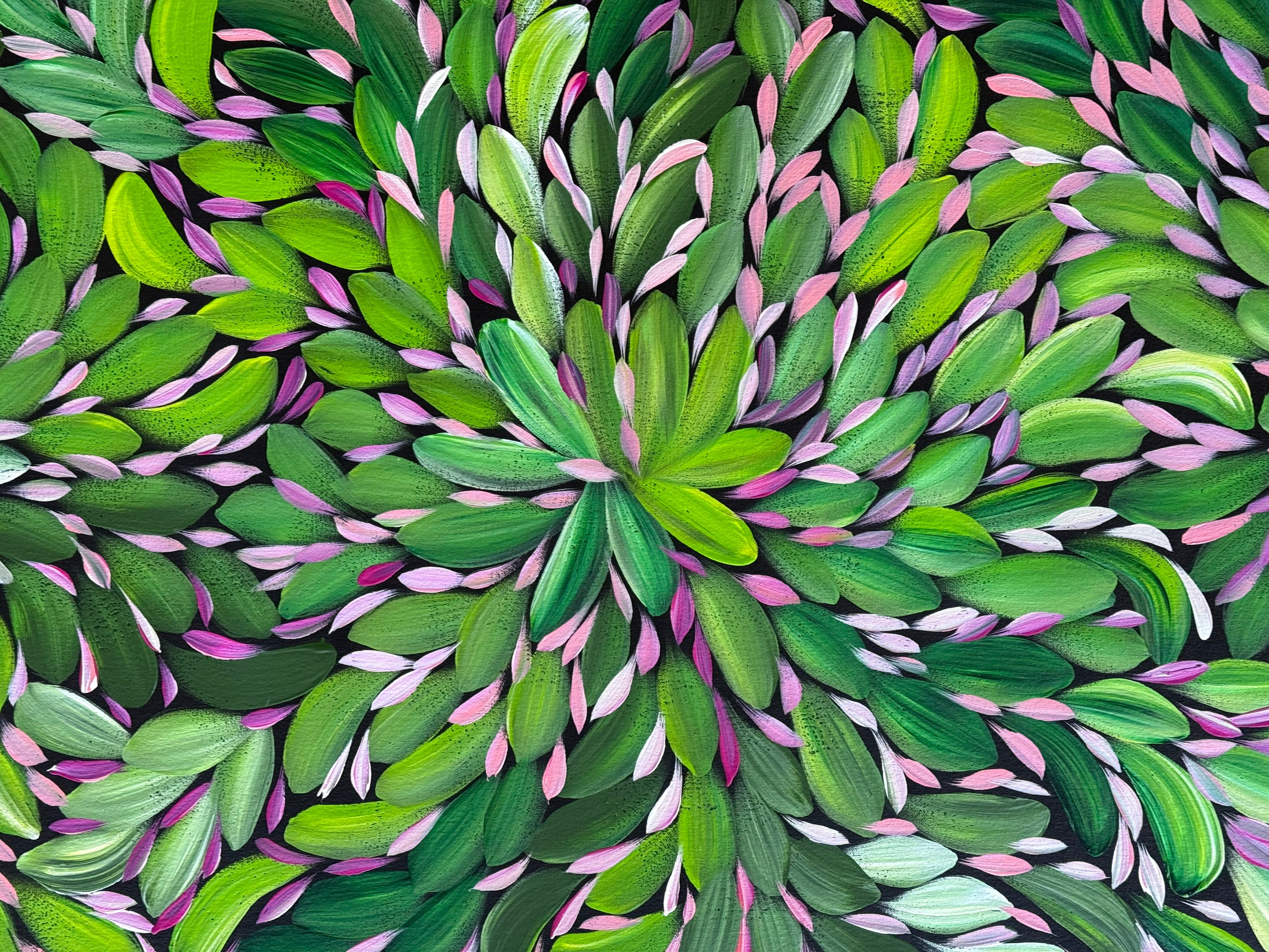 Louise Numina Napananka - Bush Medicine Leaves .23-2
