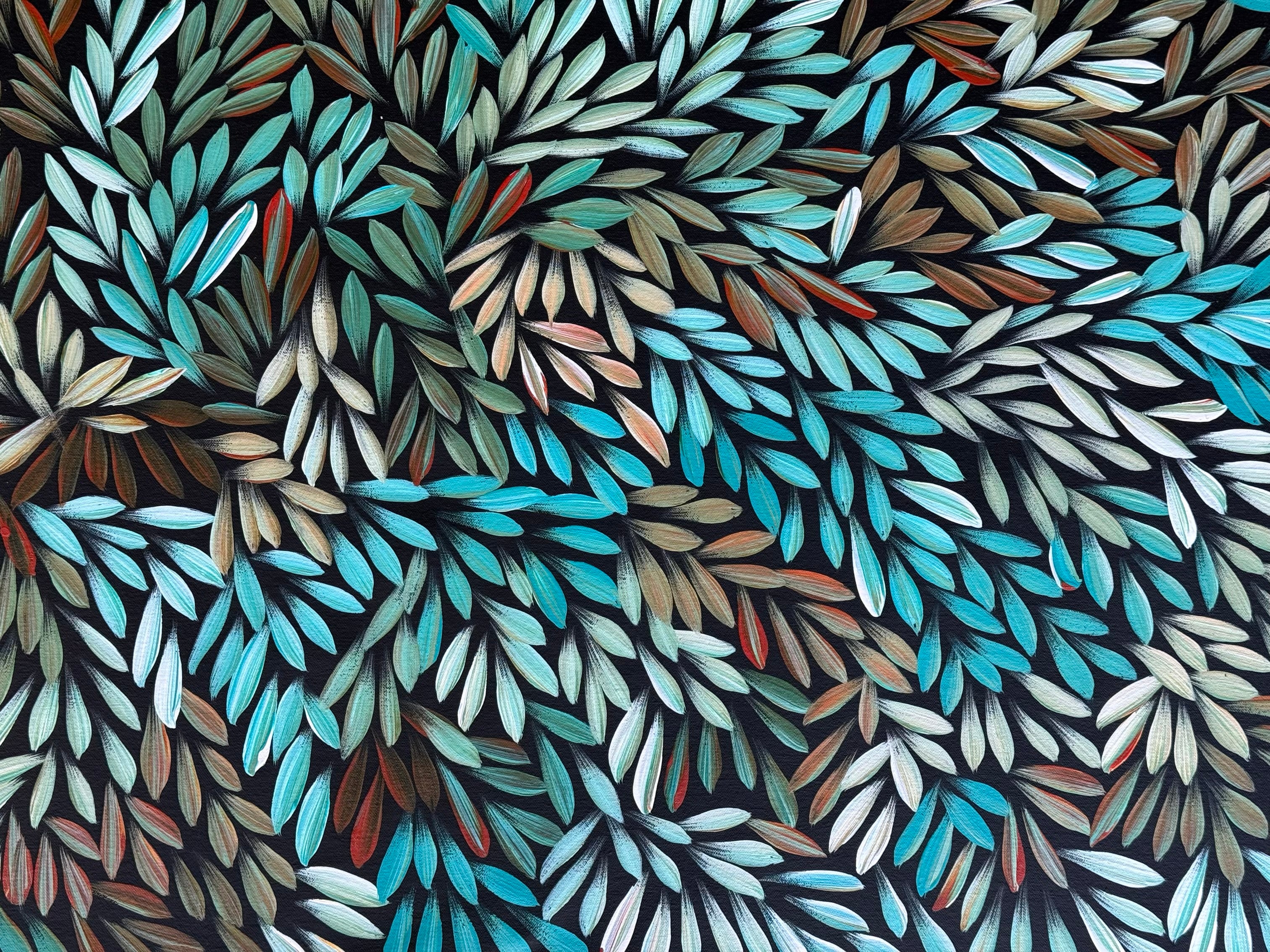 Sharon Numina - Bush Medicine Leaves .50-12
