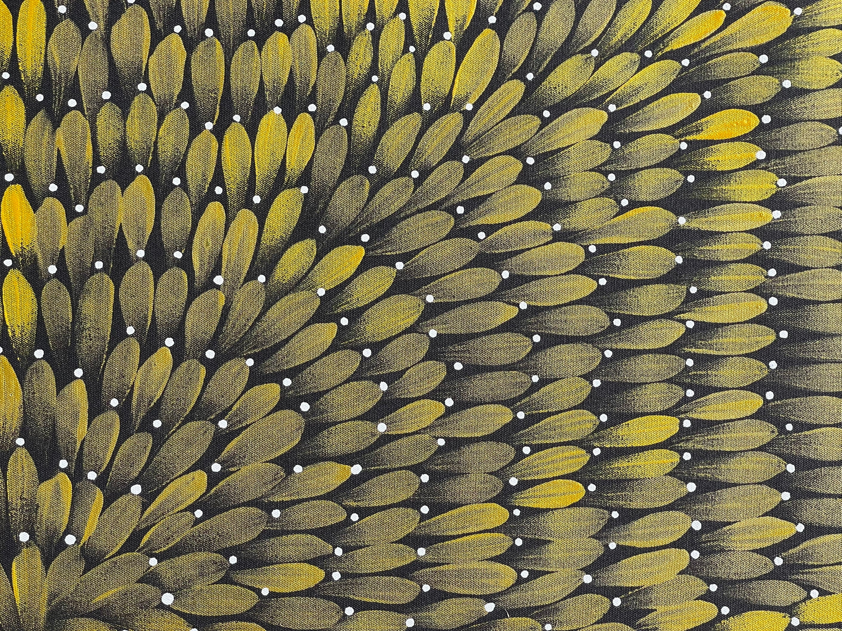 Maryanne Gibson - Bush Medicine .24-3