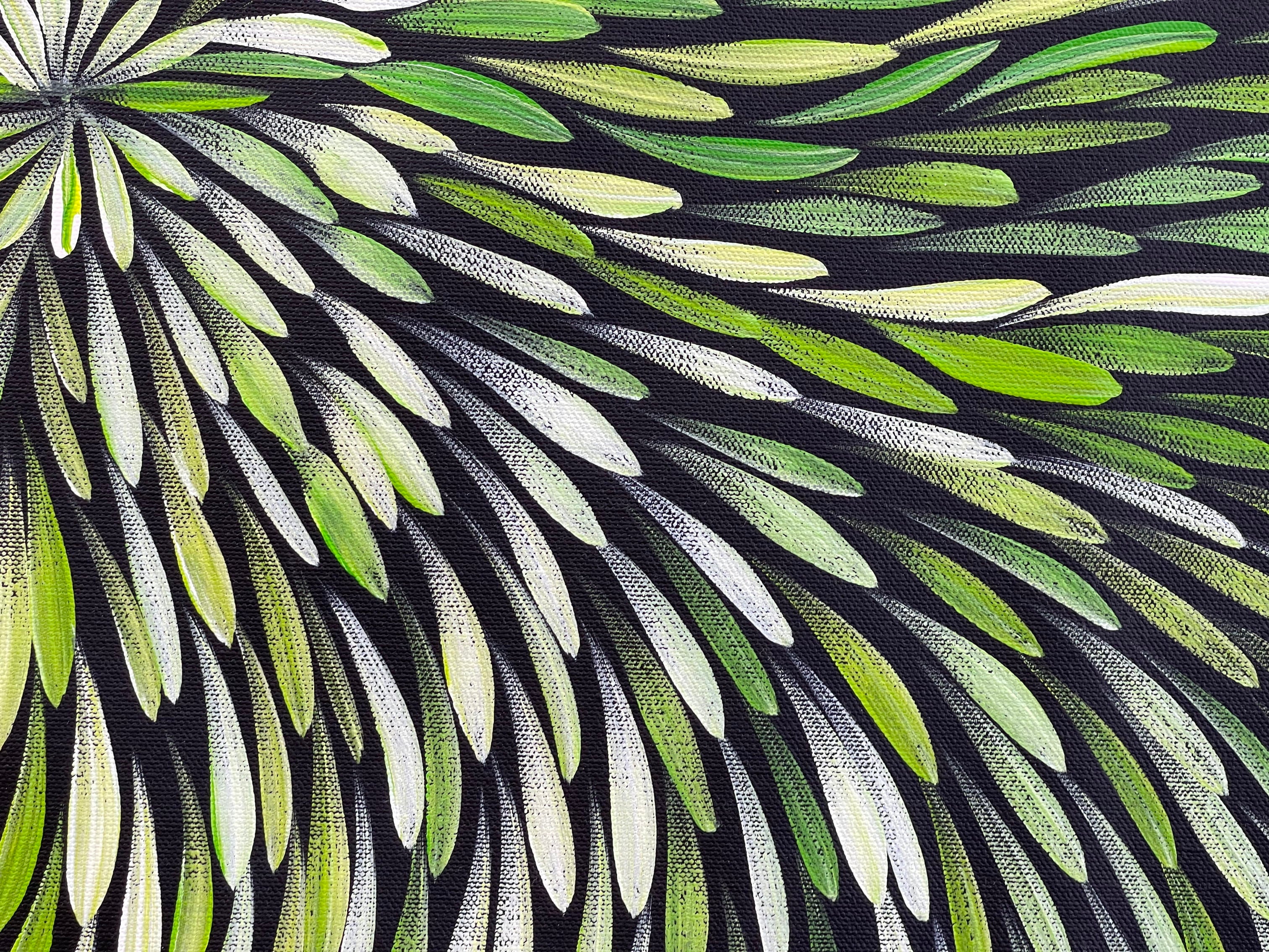 Sharon Numina - Bush Medicine Leaves - 143x67 .28-22