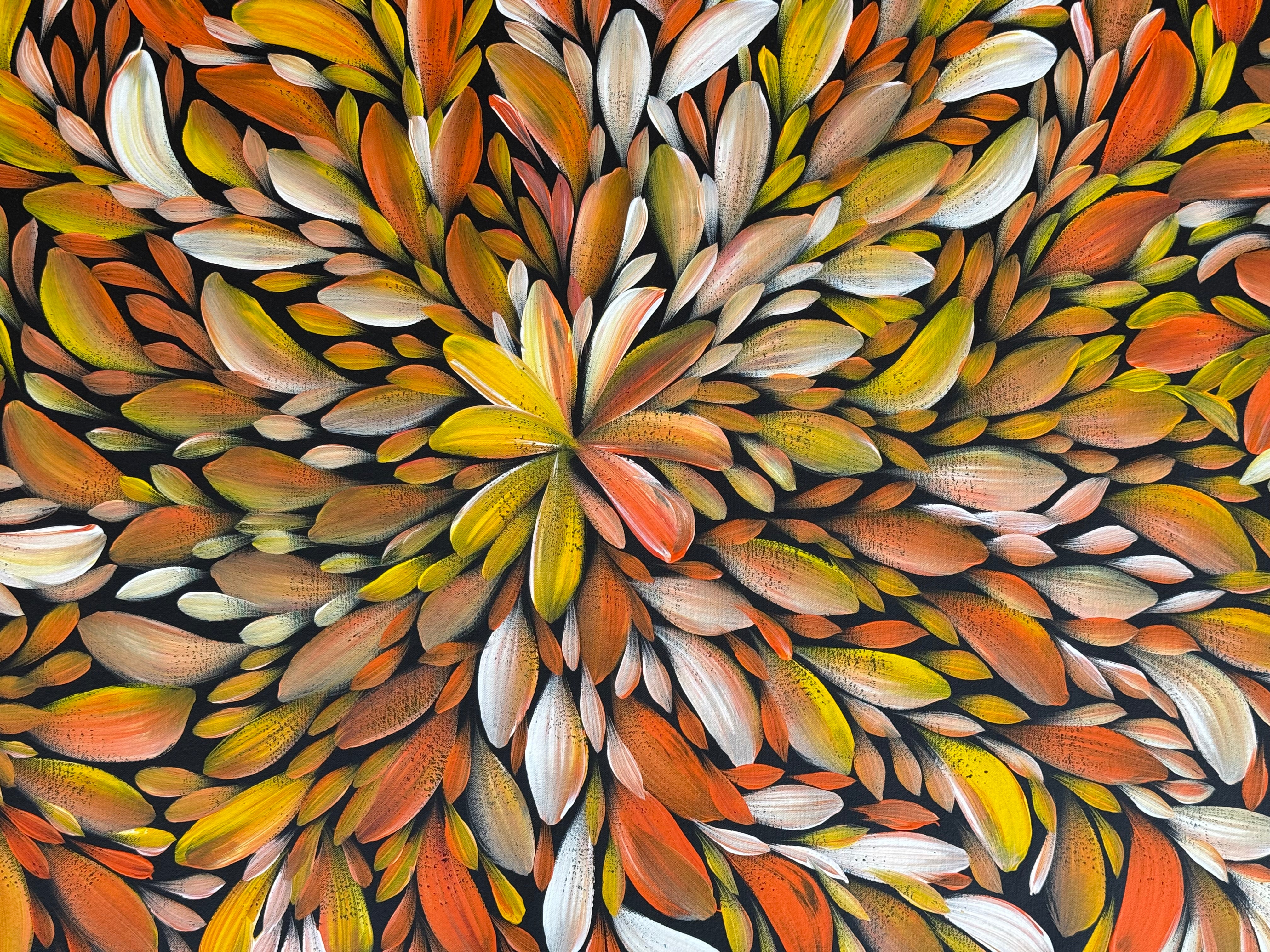 Louise Numina Napananka - Bush Medicine Leaves .57-58