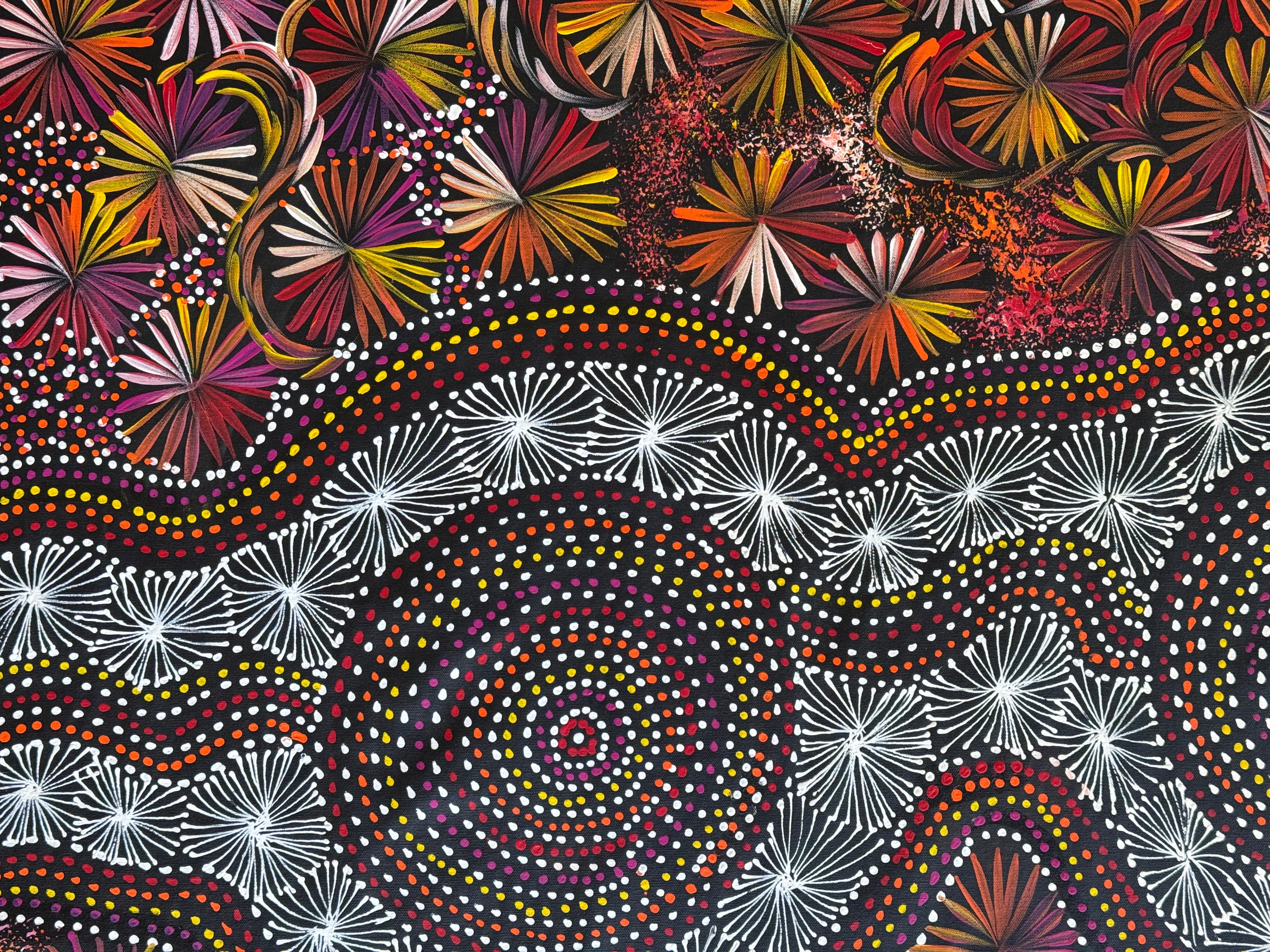 Selina Numina Kamprina - Seeds and Waterholes .92-23