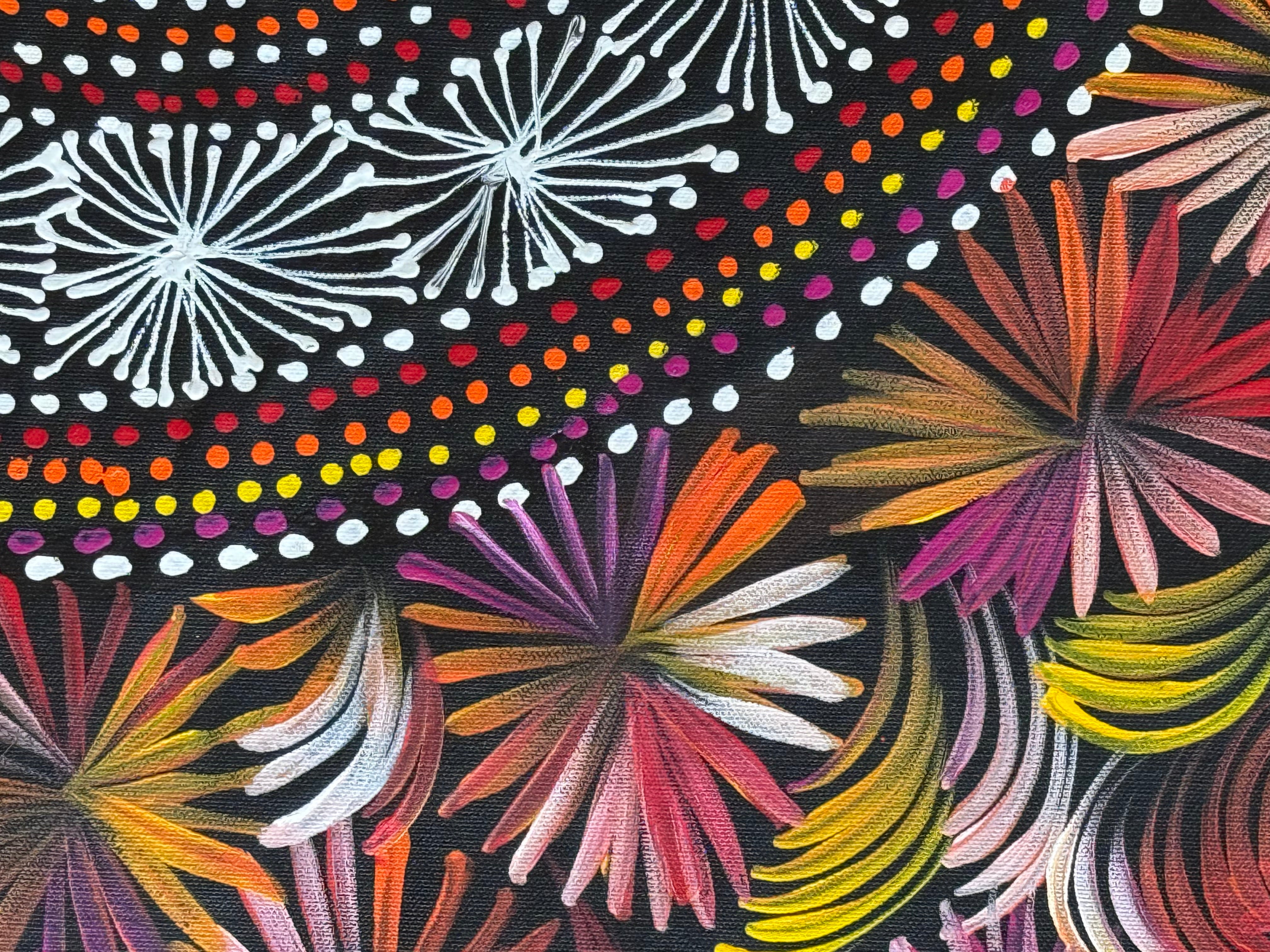 Selina Numina Kamprina - Seeds and Waterholes .92-23