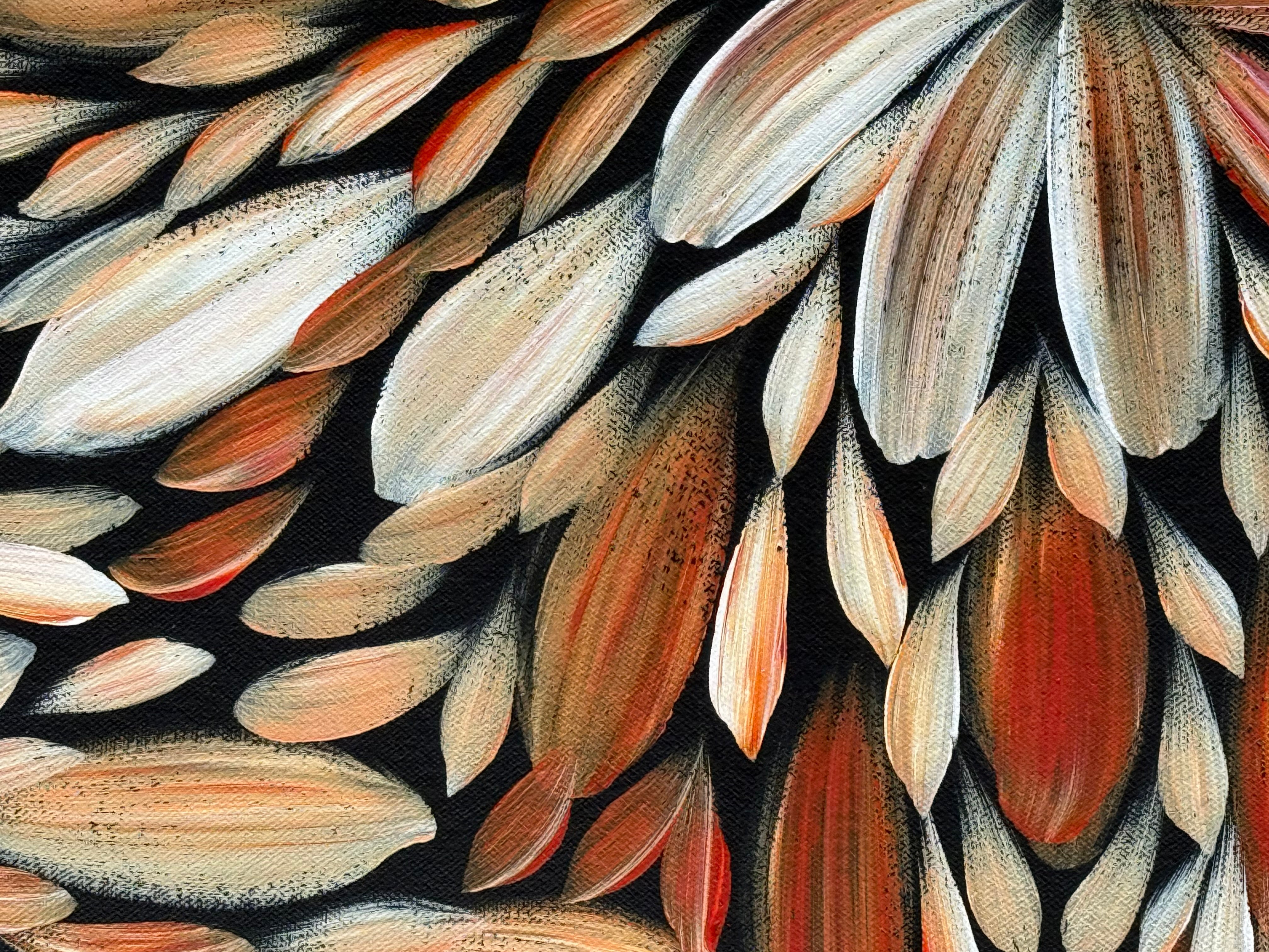 Louise Numina Napananka - Bush Medicine Leaves .16-74