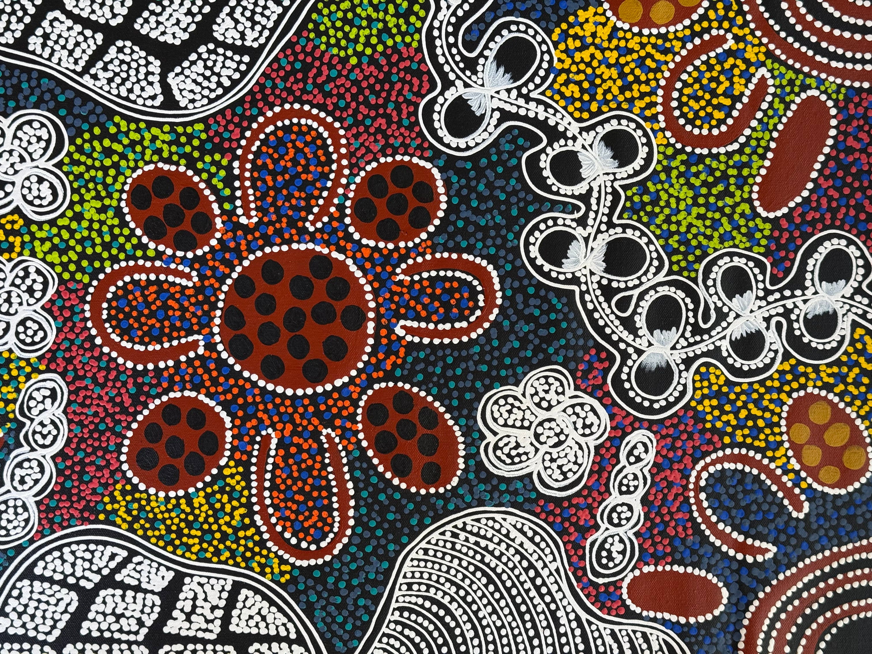 Lanita Numina - Women Collect Bush Plums, Honey Ants - 152x43cm .13-2