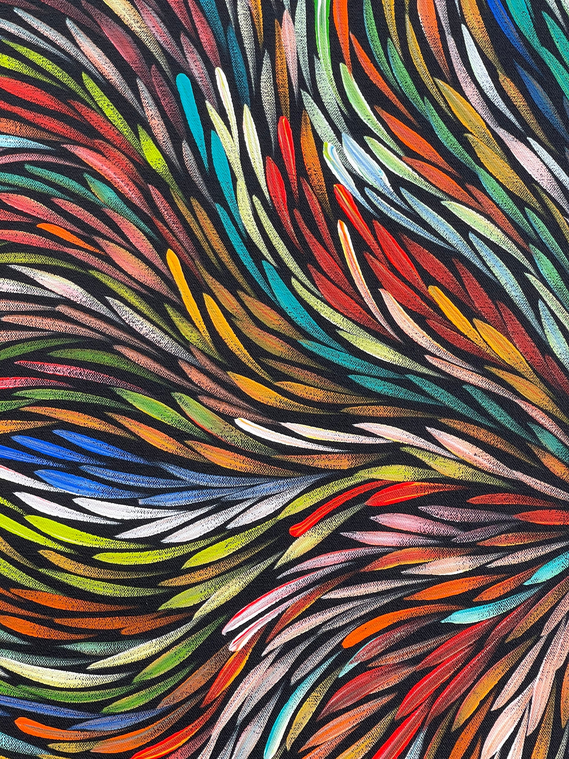 Sharon Numina - Bush Medicine Leaves .53-4
