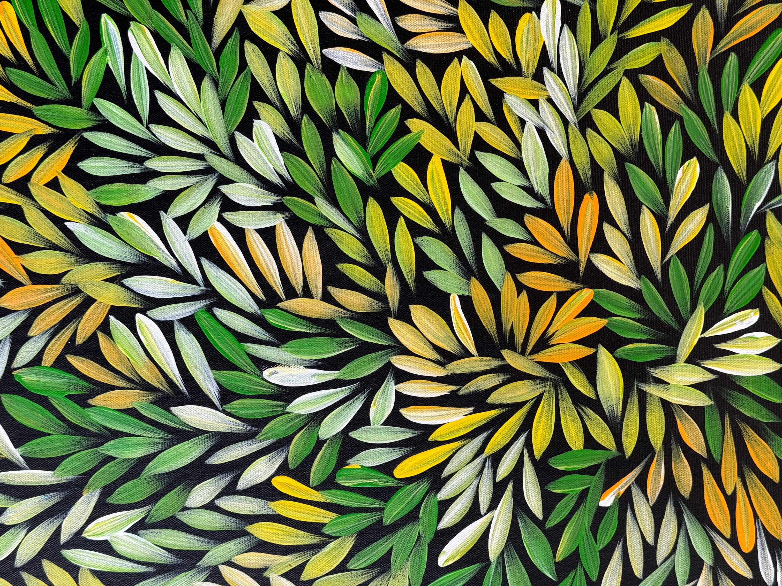 Sharon Numina - Bush Medicine Leaves - 69x89cm .14-61