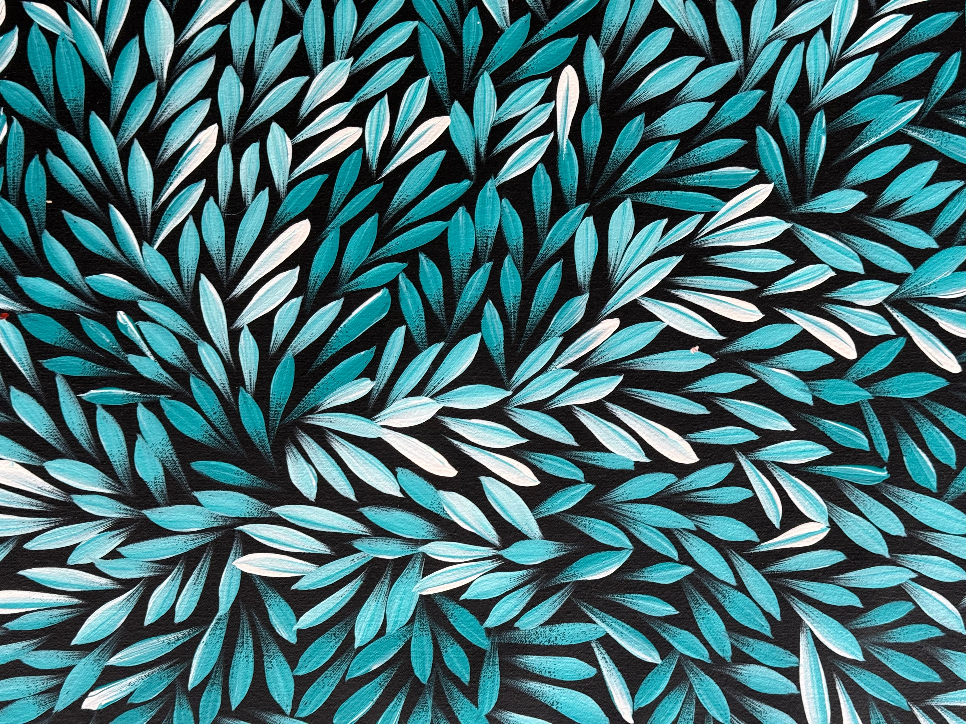 Sharon Numina - Bush Medicine Leaves .14-15