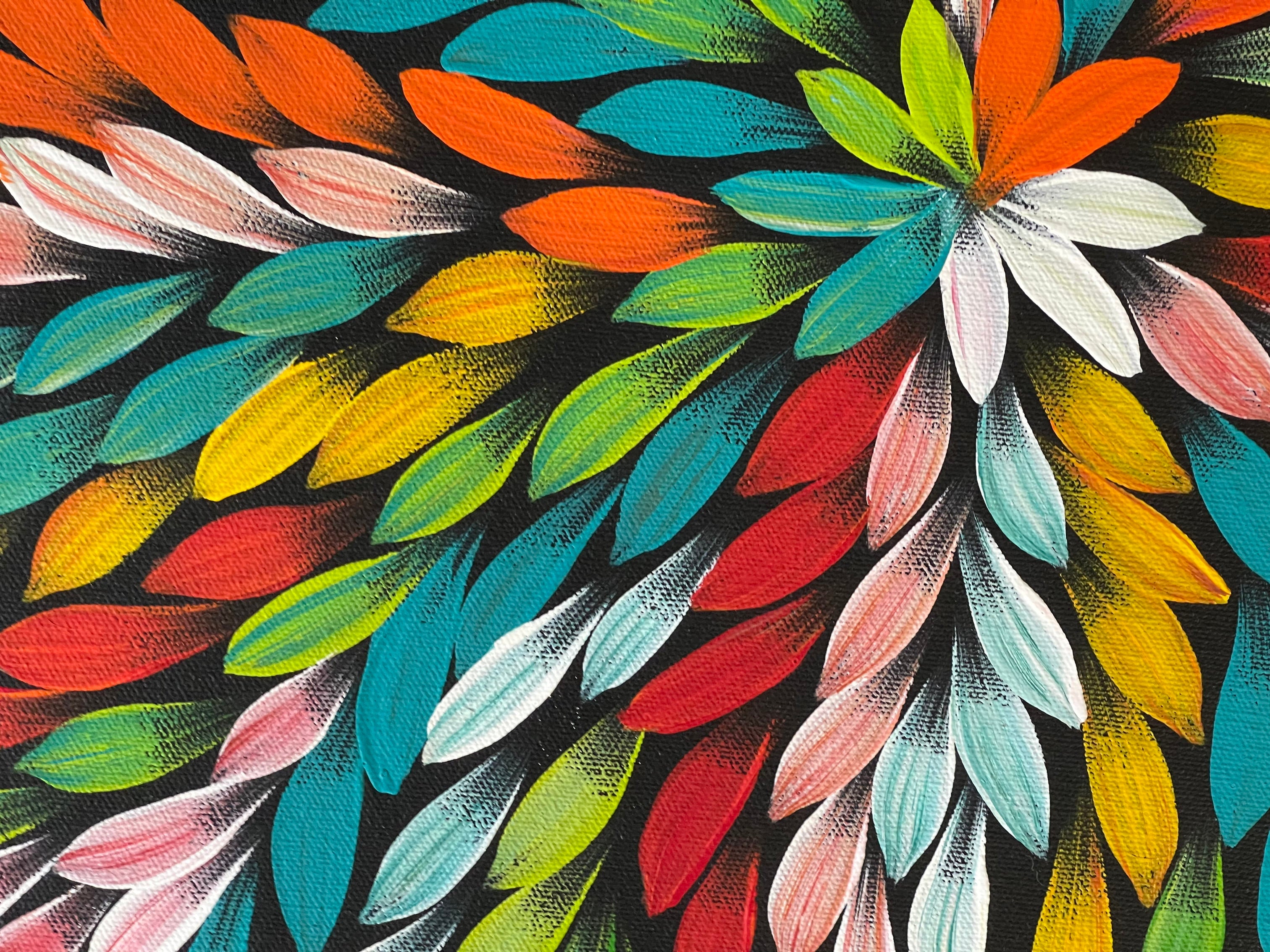 Jacinta Numina - Bush Medicine Leaves - 36x52cm .57-10