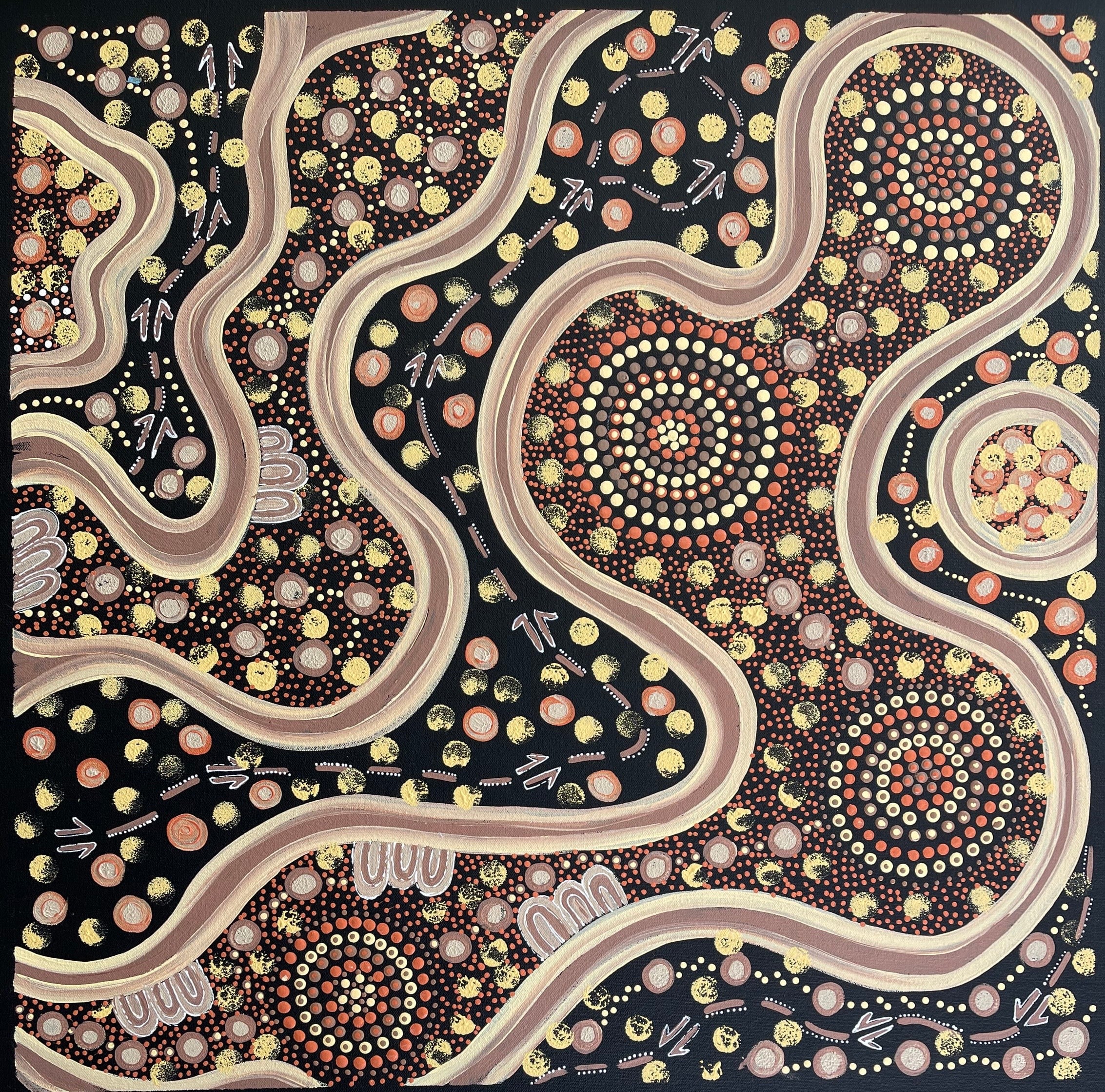 Deidre Burgoyne Rosier - Kangaroo Traveling Tracks Looking For Food- 59x60cm .47-7