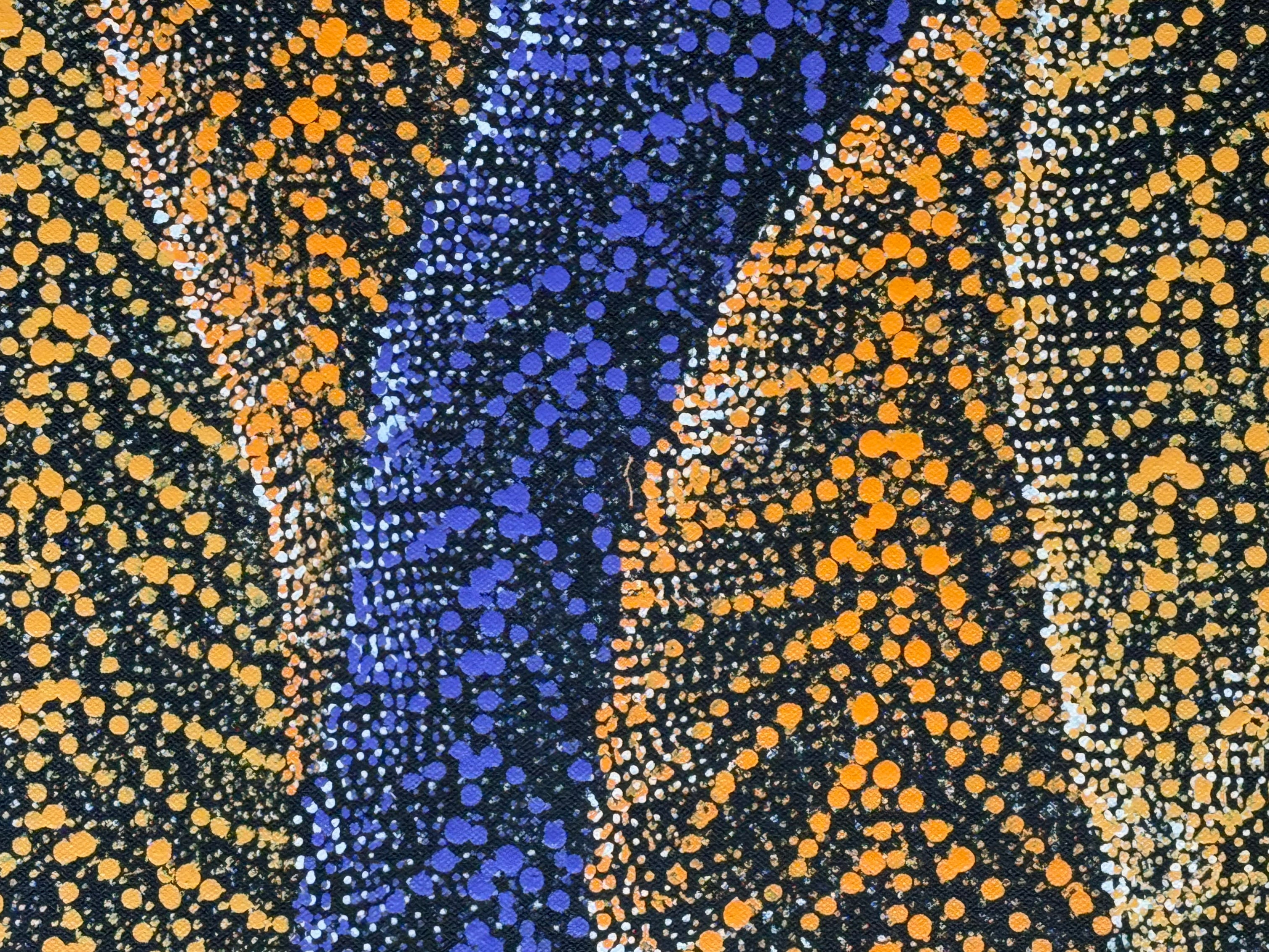 Debbie Nampijinpa Brown - Sand Dunes .29-1