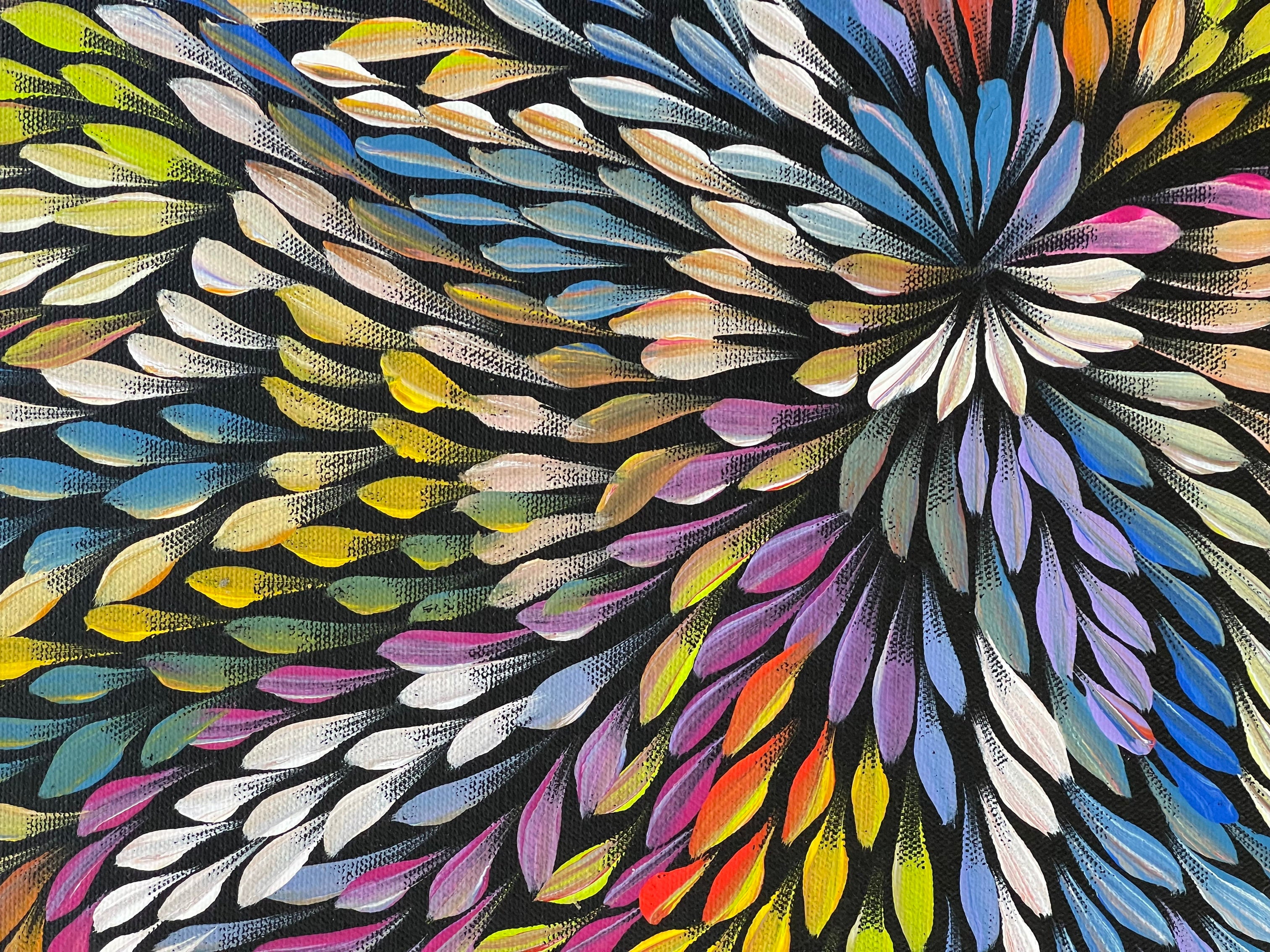 Caroline Numina - Bush Medicine Leaves - 52x37cm .62-14