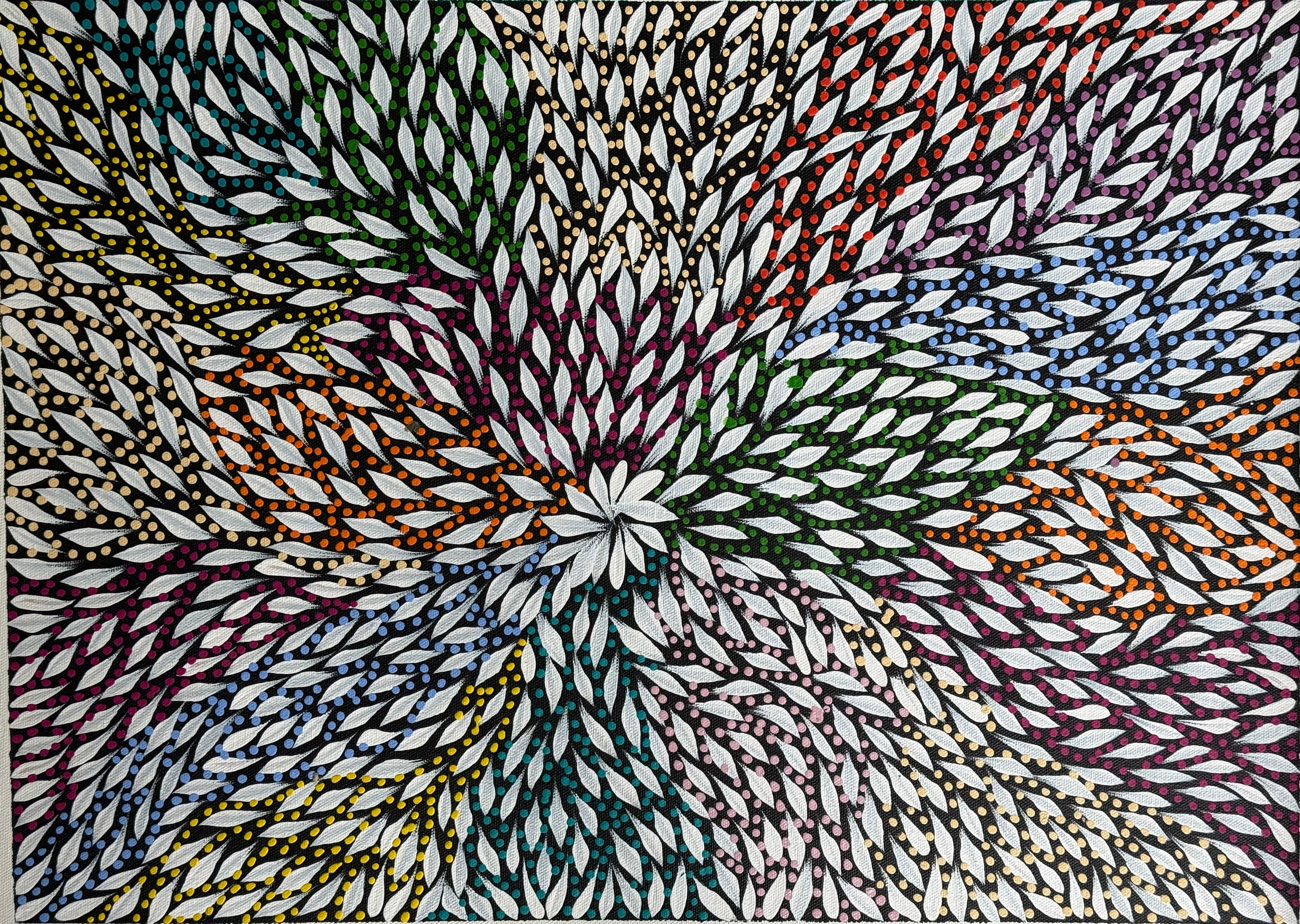 Sharon Turner - Bush Medicine Leaves with Seeds .94-1