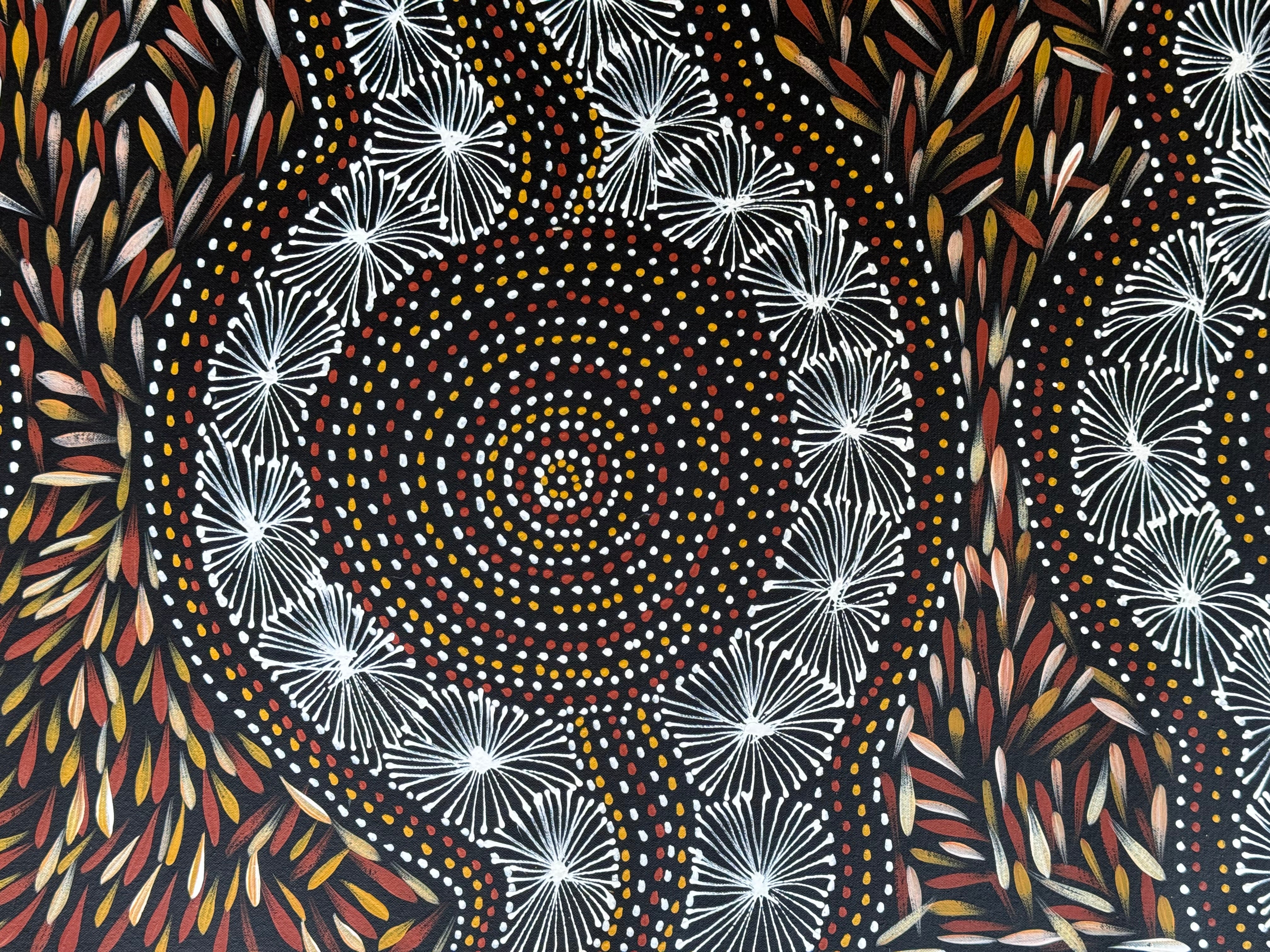 Selina Numina Kamprina - Seeds and Waterholes .92-11