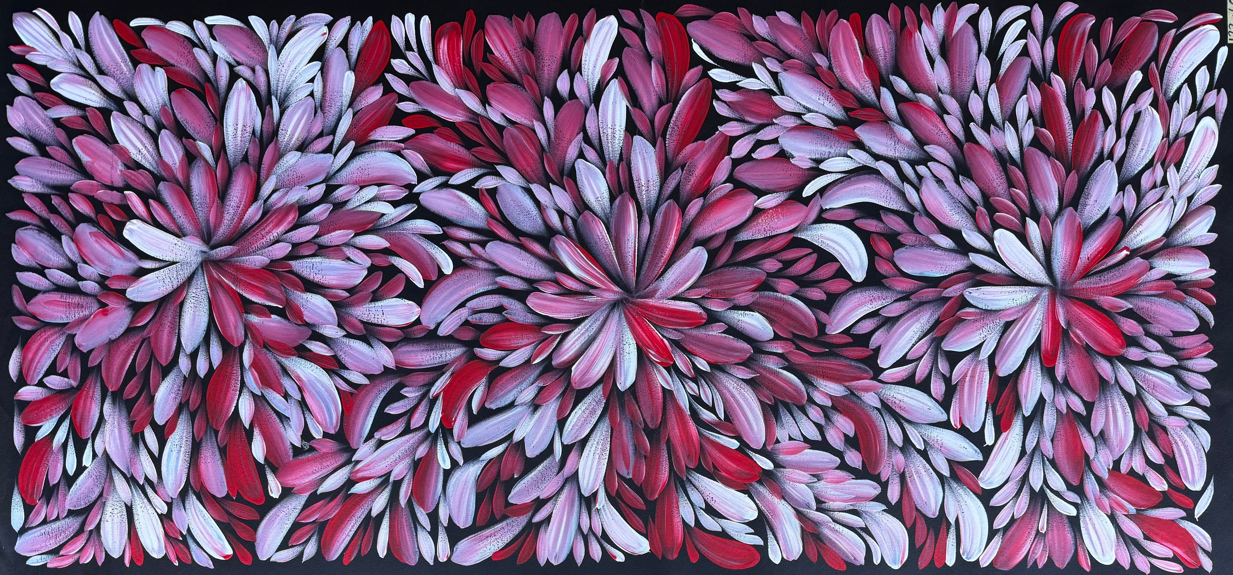 Louise Numina Napananka - Bush Medicine Leaves .49-29