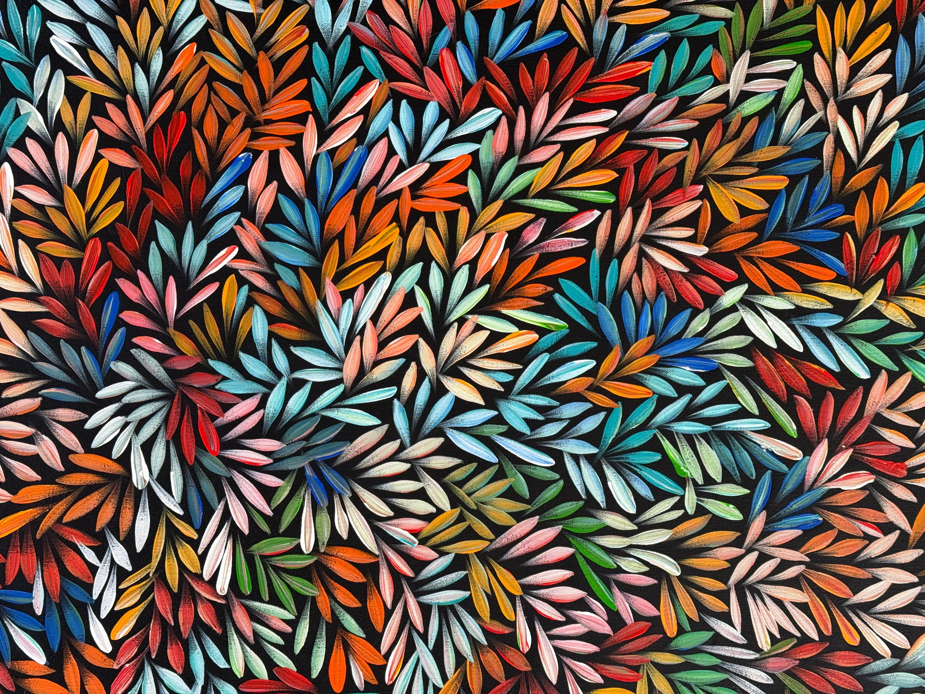 Sharon Numina - Bush Medicine Leaves .40-1