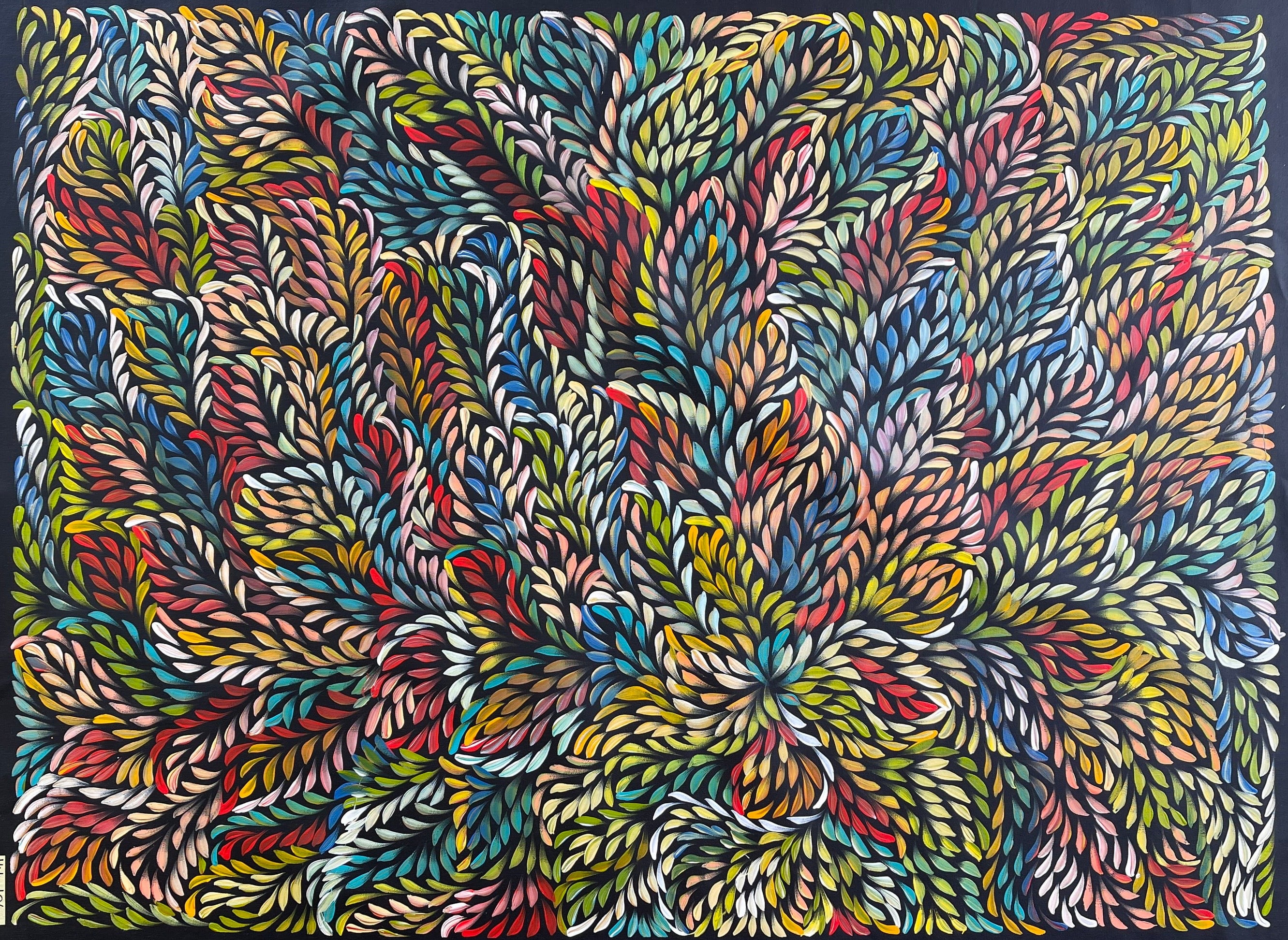 Caroline Numina - Bush Medicine Leaves .31-11
