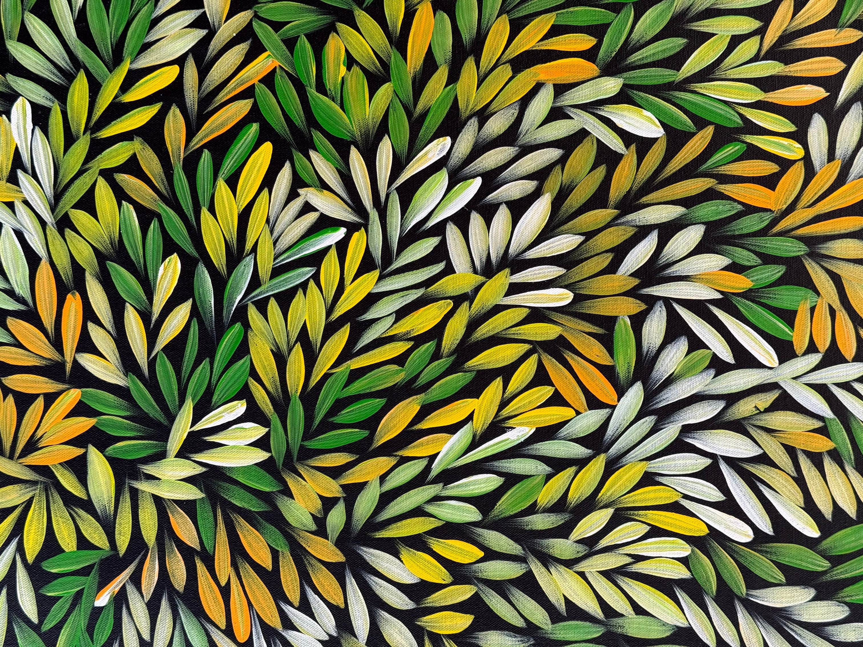 Sharon Numina - Bush Medicine Leaves - 69x89cm .14-61