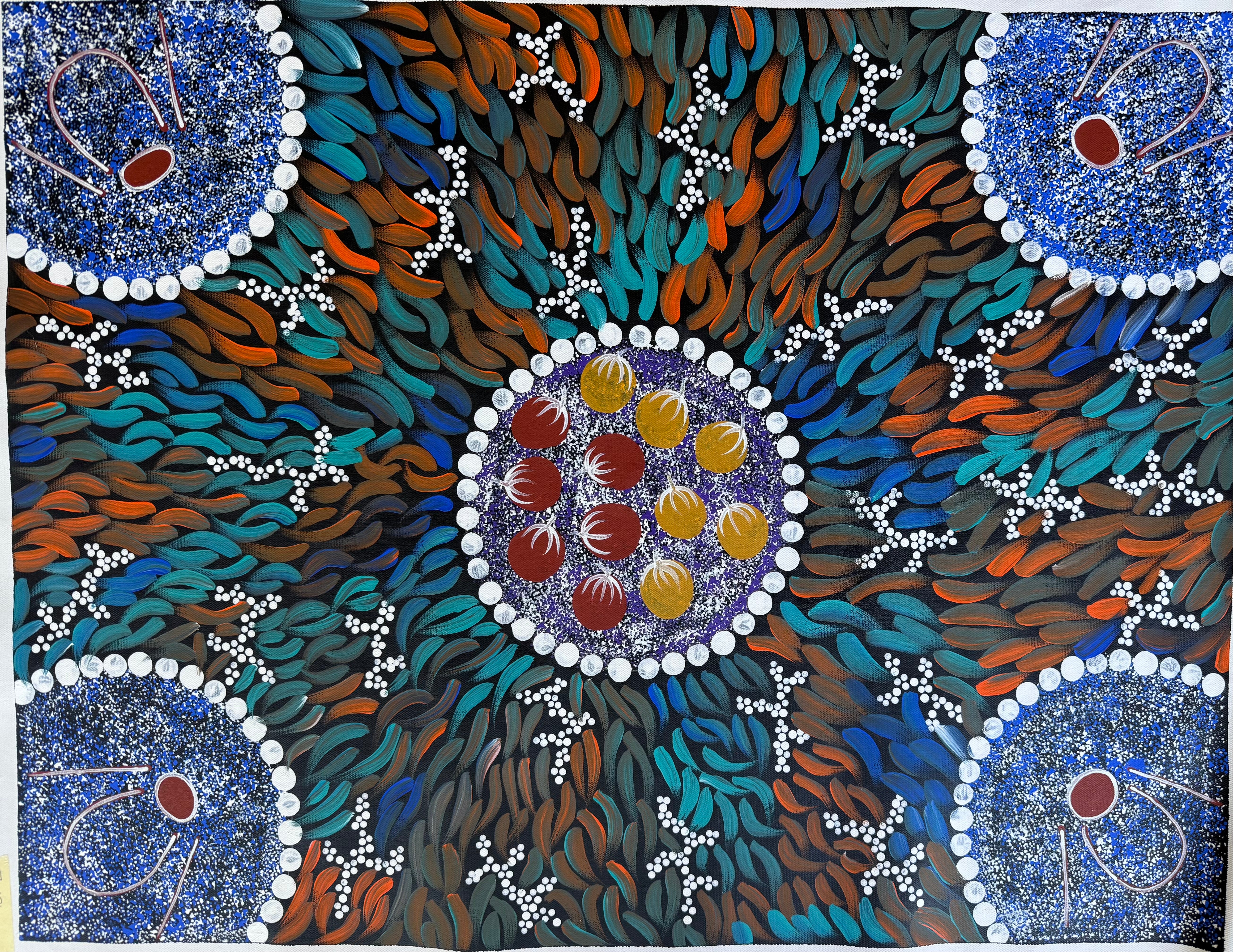 Sabina Gorey - Bush Medicine Leaves .04-5