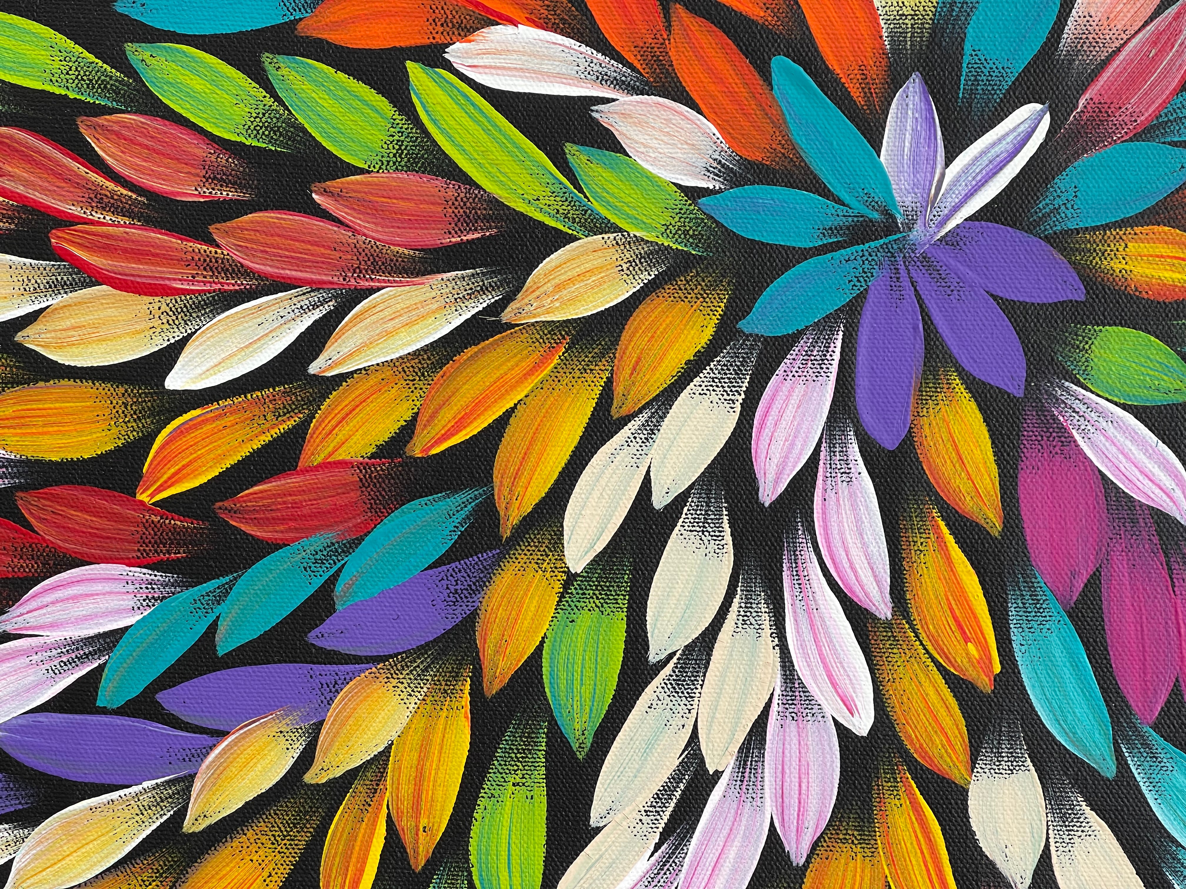 Jacinta Numina - Bush Medicine Leaves - 36x52cm .57-3