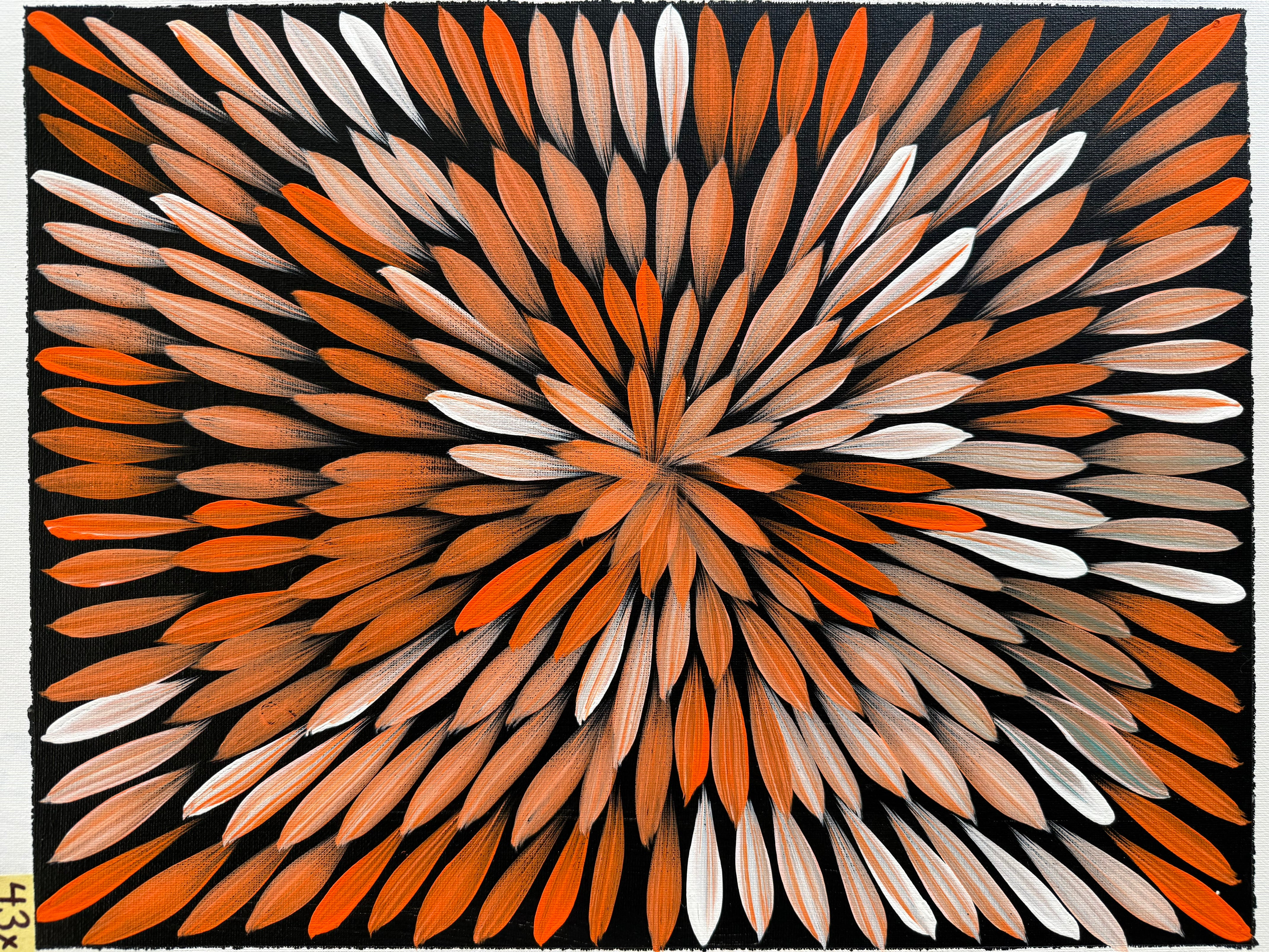 Jacinta Numina Waugh - Bush Medicine Leaves .81-20