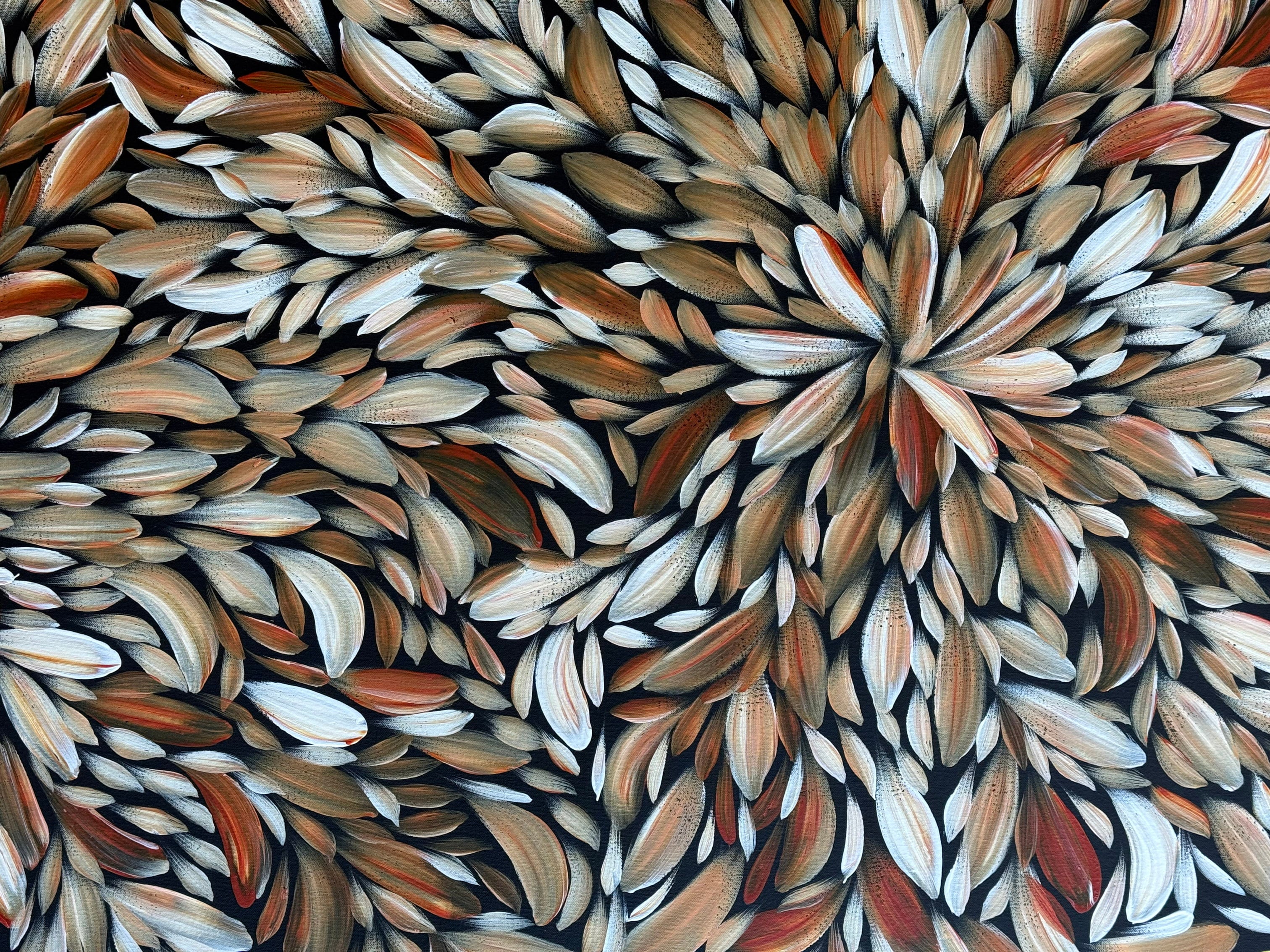 Louise Numina Napananka - Bush Medicine Leaves .41-18