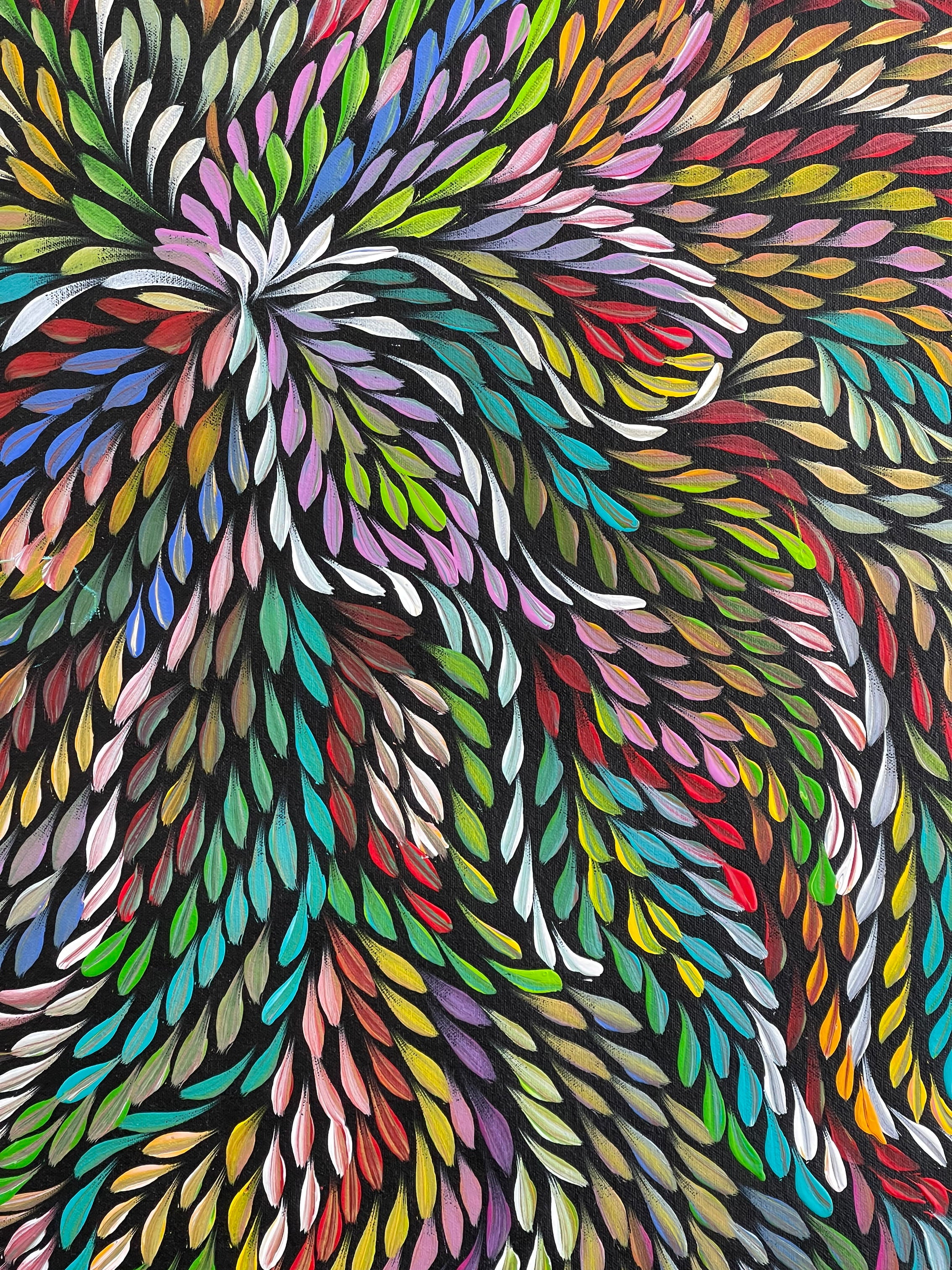 Caroline Numina - Bush Medicine Leaves .62-1