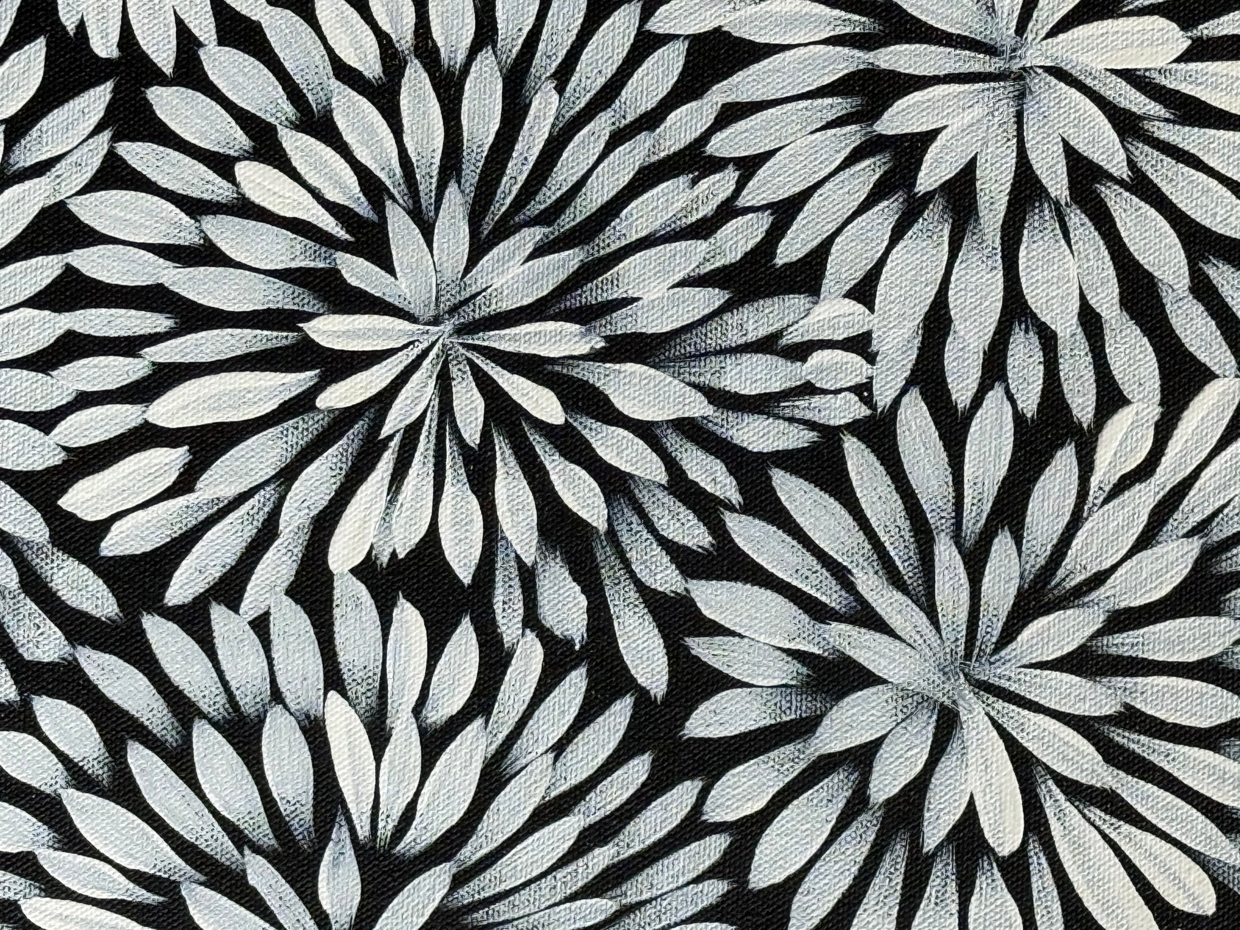 Sharon Numina - Bush Medicine Flowers .14-63