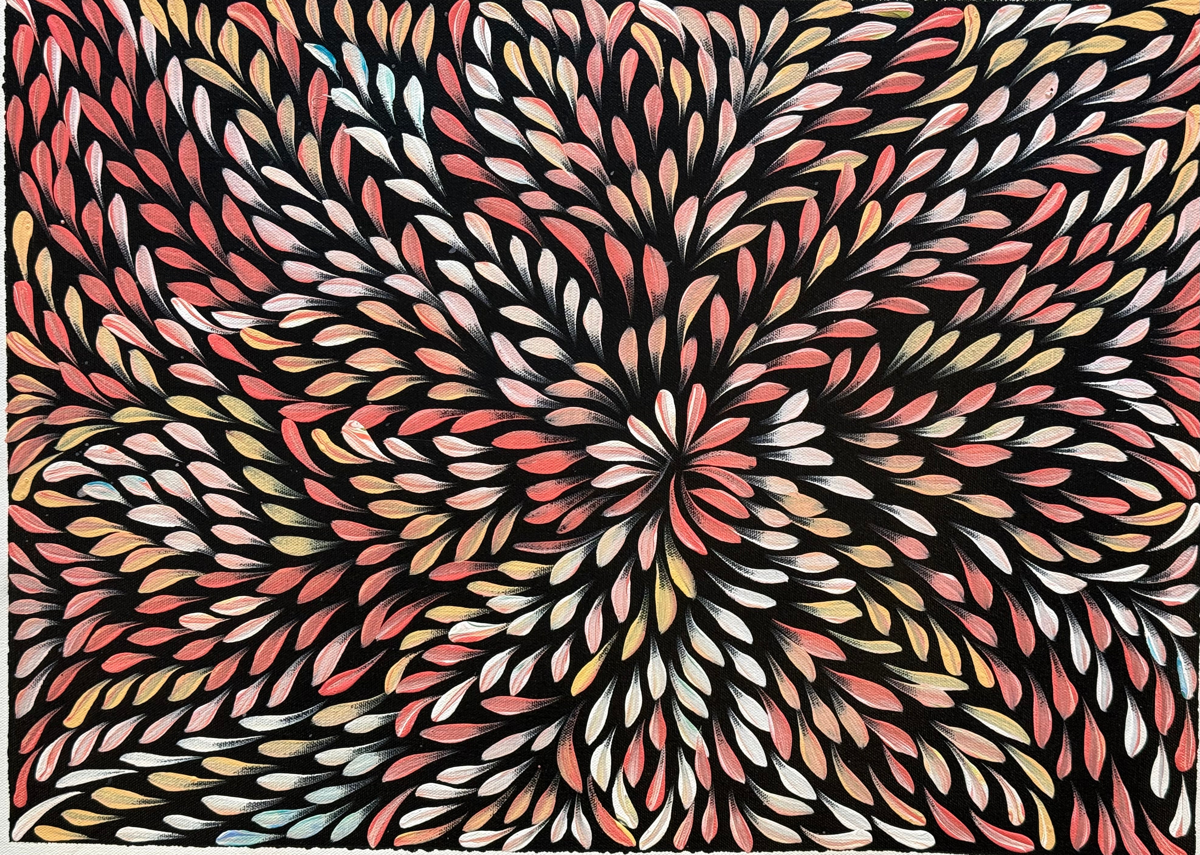 Caroline Numina - Bush Medicine Leaves .04-30