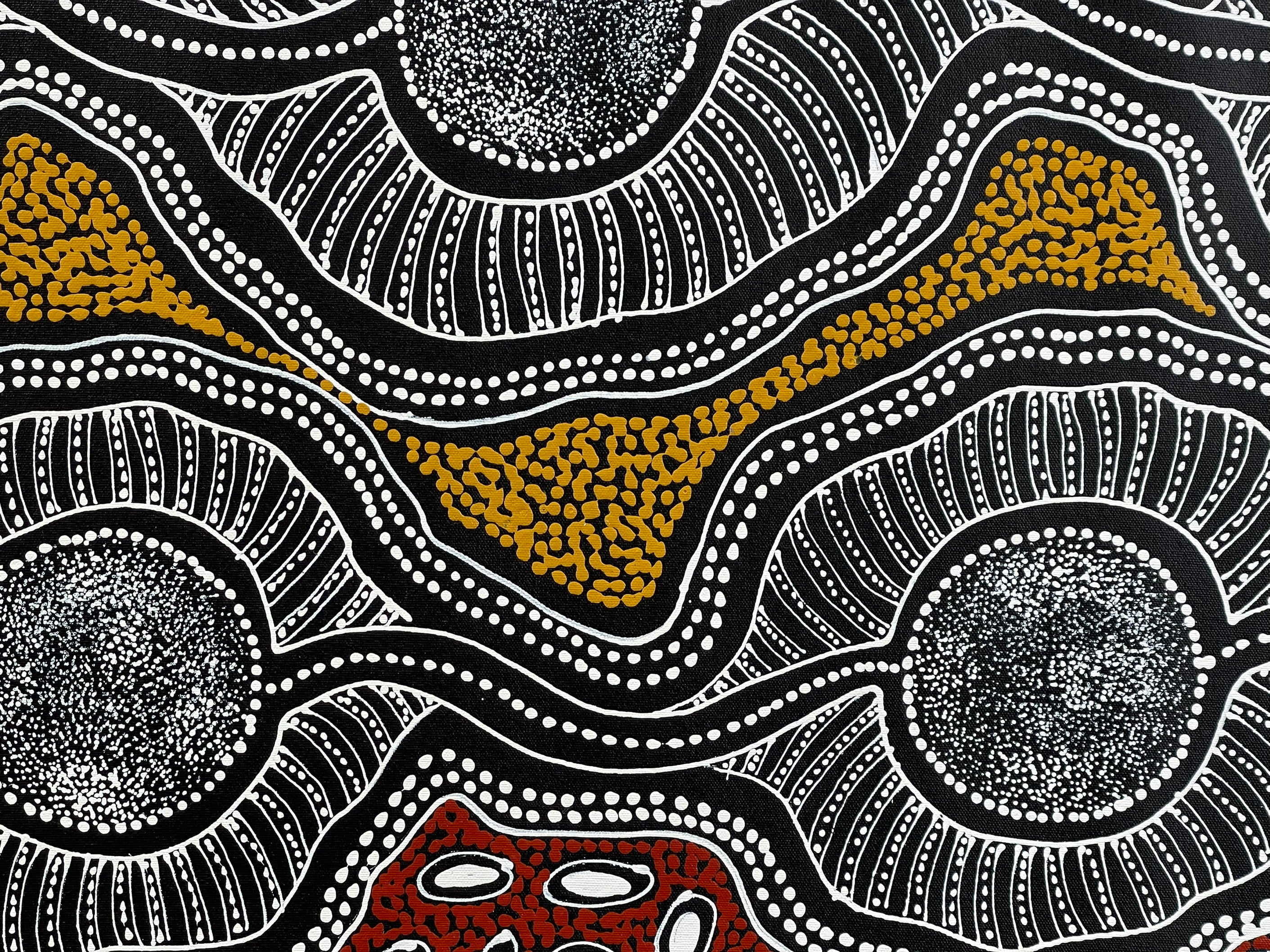 Sharon Numina - Bush Plum (Ahakeye) Dreaming, My Mother's Country - 143x88cm .81-17